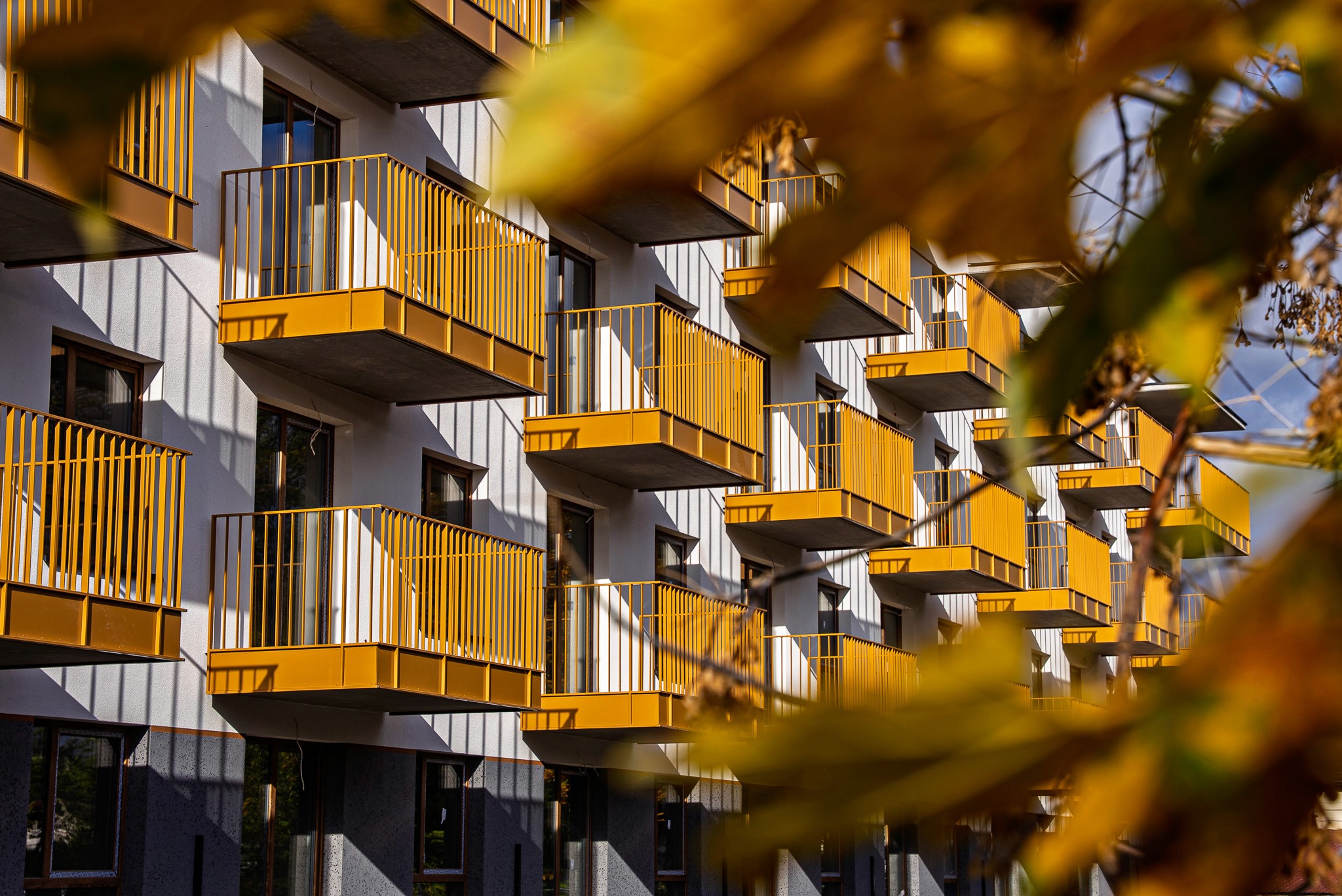 Realizacja projektu strony internetowej dla dewelopera mieszkaniowego z Warszawy - Muniak Development