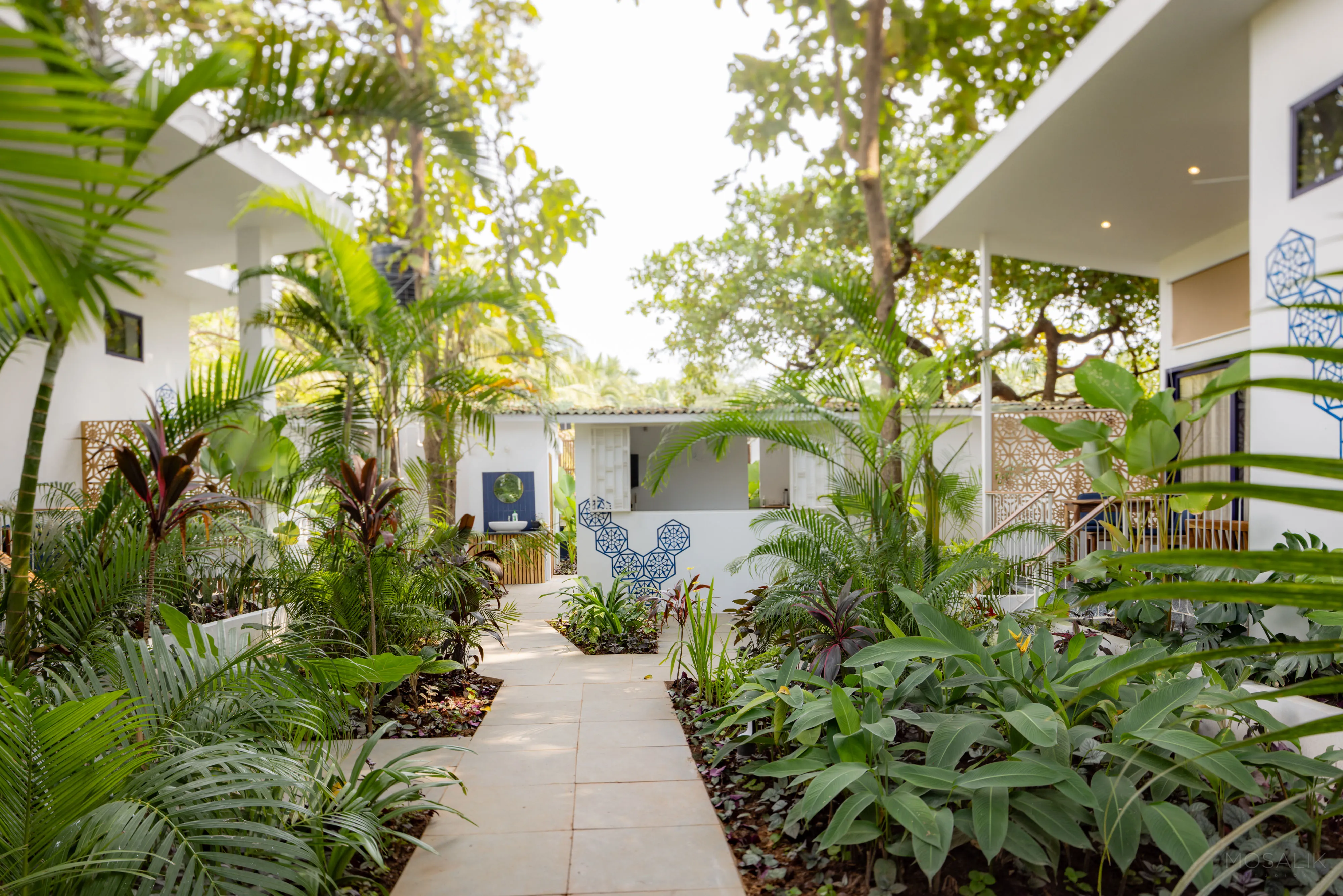 Planted courtyard walkway between rooms at Jaali Blue