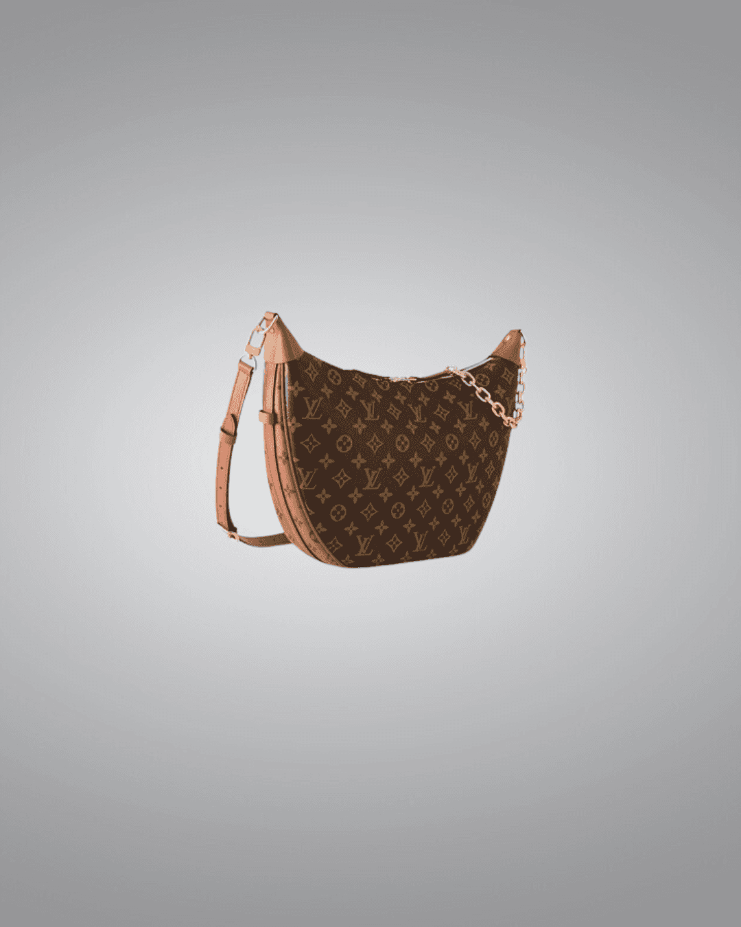 LV Loop Hobo Bag 