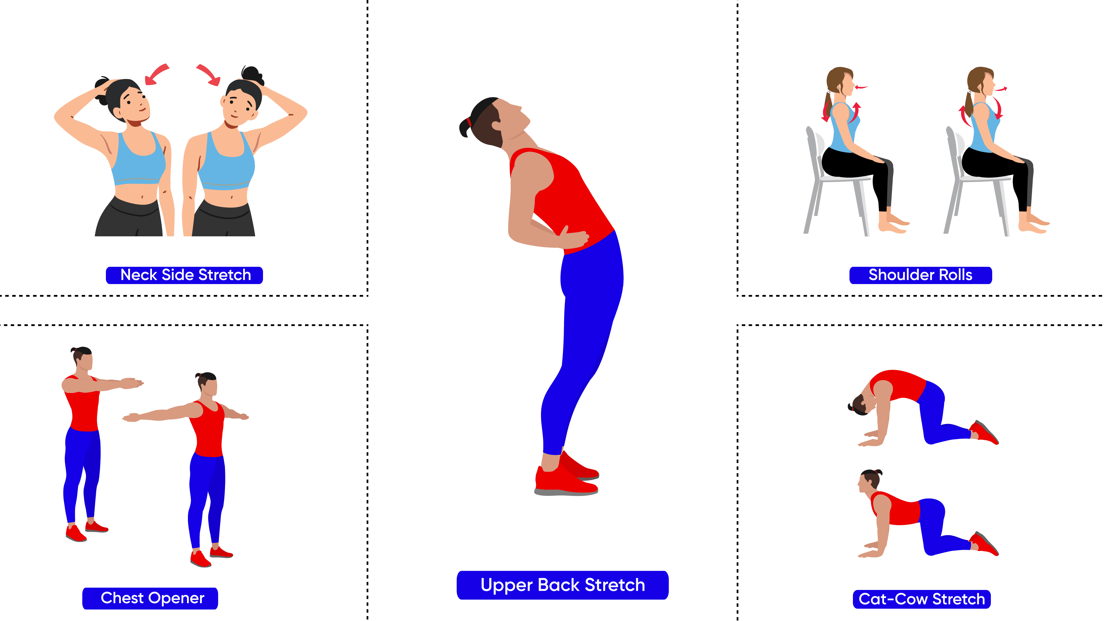 Illustrations of neck and back posture exercises: Neck Side Stretch, Shoulder Rolls, Chest Opener, Upper Back Stretch, and Cat-Cow Stretch for posture correction and neck pain relief, - ech neck exercises - Posture correction tips - Stretches for neck pain relief - Neck pain from screen time - Reduce tech neck symptoms - Simple stretches for tech neck - Screen time posture solutions - Ergonomic tips for desk workers - Ease tech neck discomfort - Neck and back pain solutions - Chronic pain relief from tech use - Healthy screen time habits - Work-from-home posture tips - Prevent text neck problems - Daily stretches for neck and shoulders