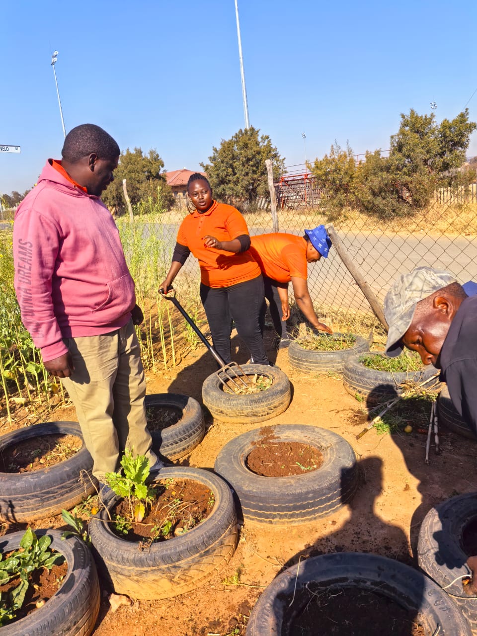 Close-up of a tree stump showing growth rings and a textured brown wood surface.