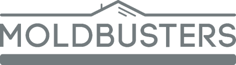 Mold Busters