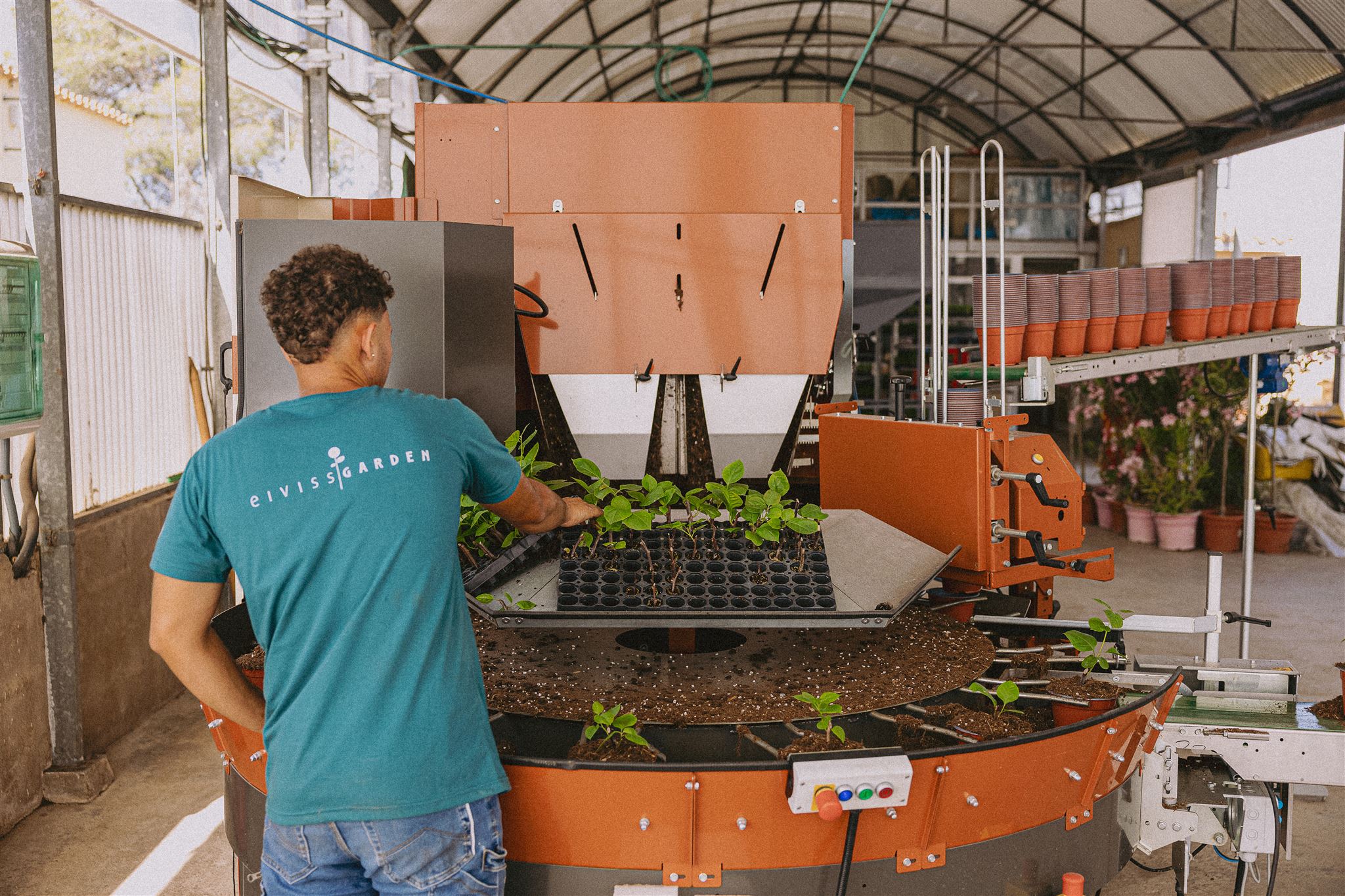 Eiviss Garden production nursery