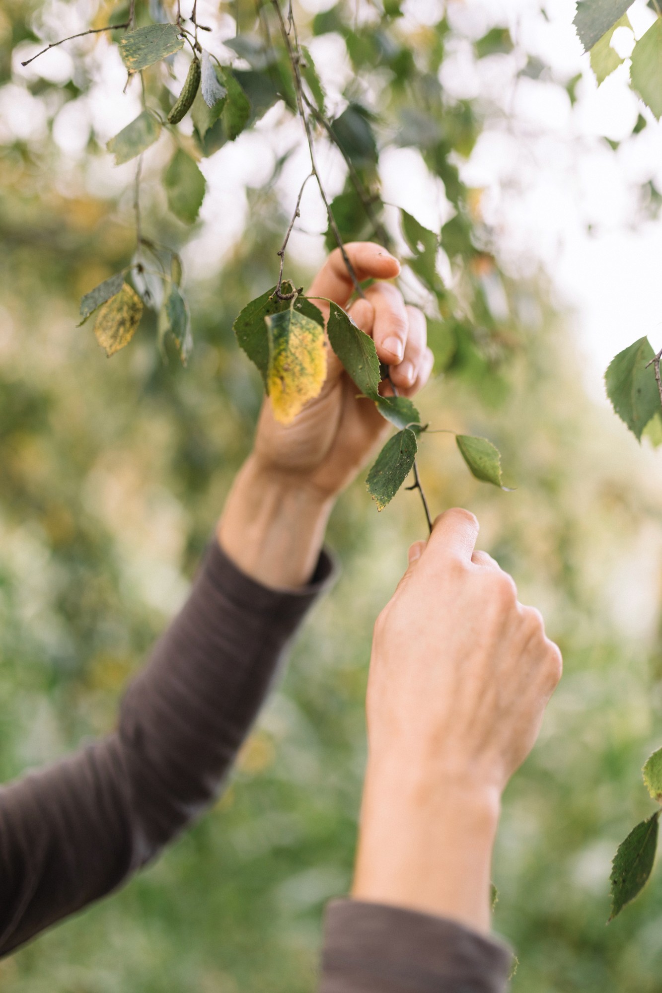 Paz Mesa | Artesanía textil | Fotografía Lorena Grandío