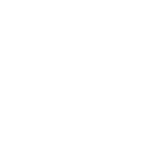 Vector