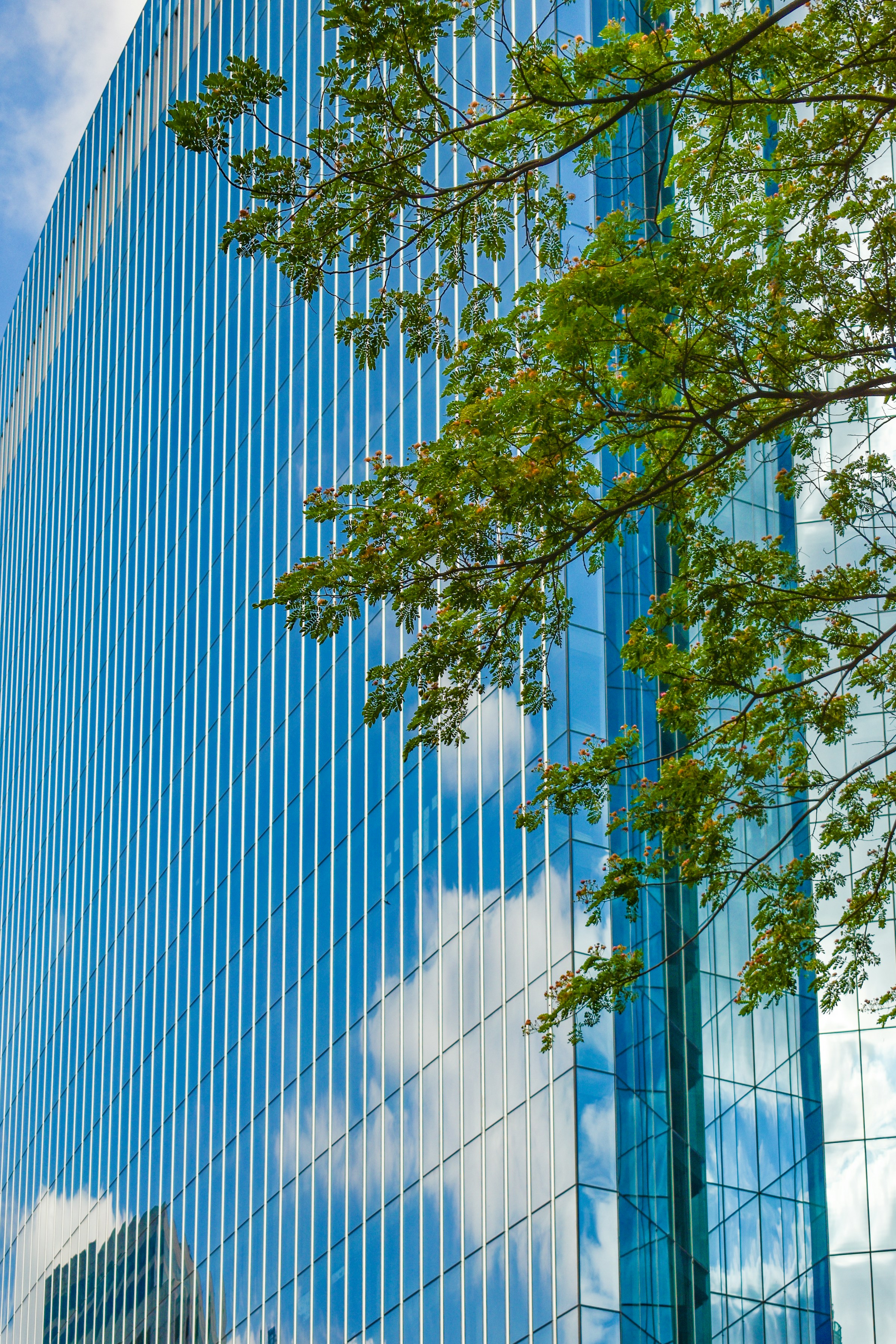 Massive office building with towering glass windows