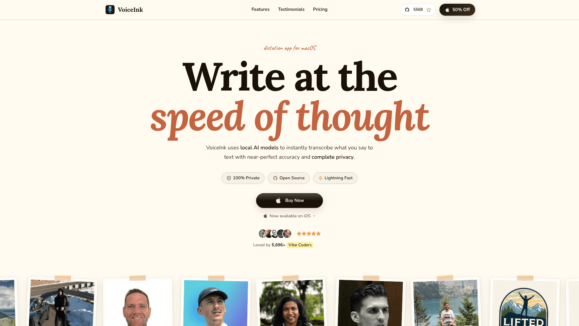 Screenshot of https://tryvoiceink.com/