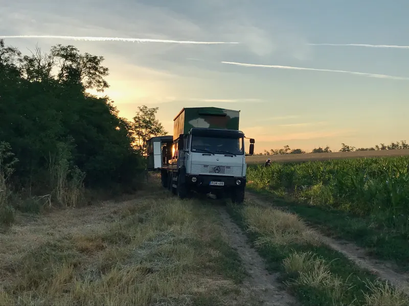 Méhvándorlás utáni kaptárlepakolás