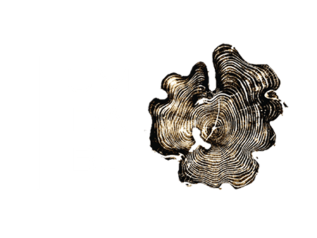 Umdabu