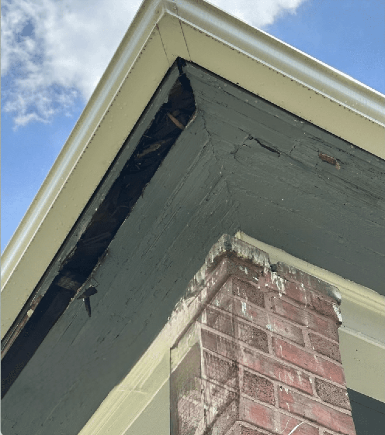 Profession Rot Repair Services in Marysville, WA