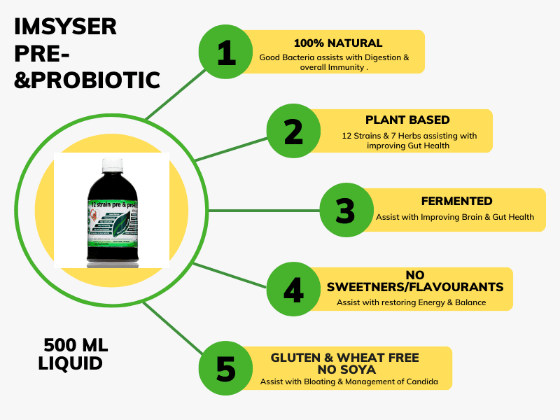 imsyser probiotic benefits