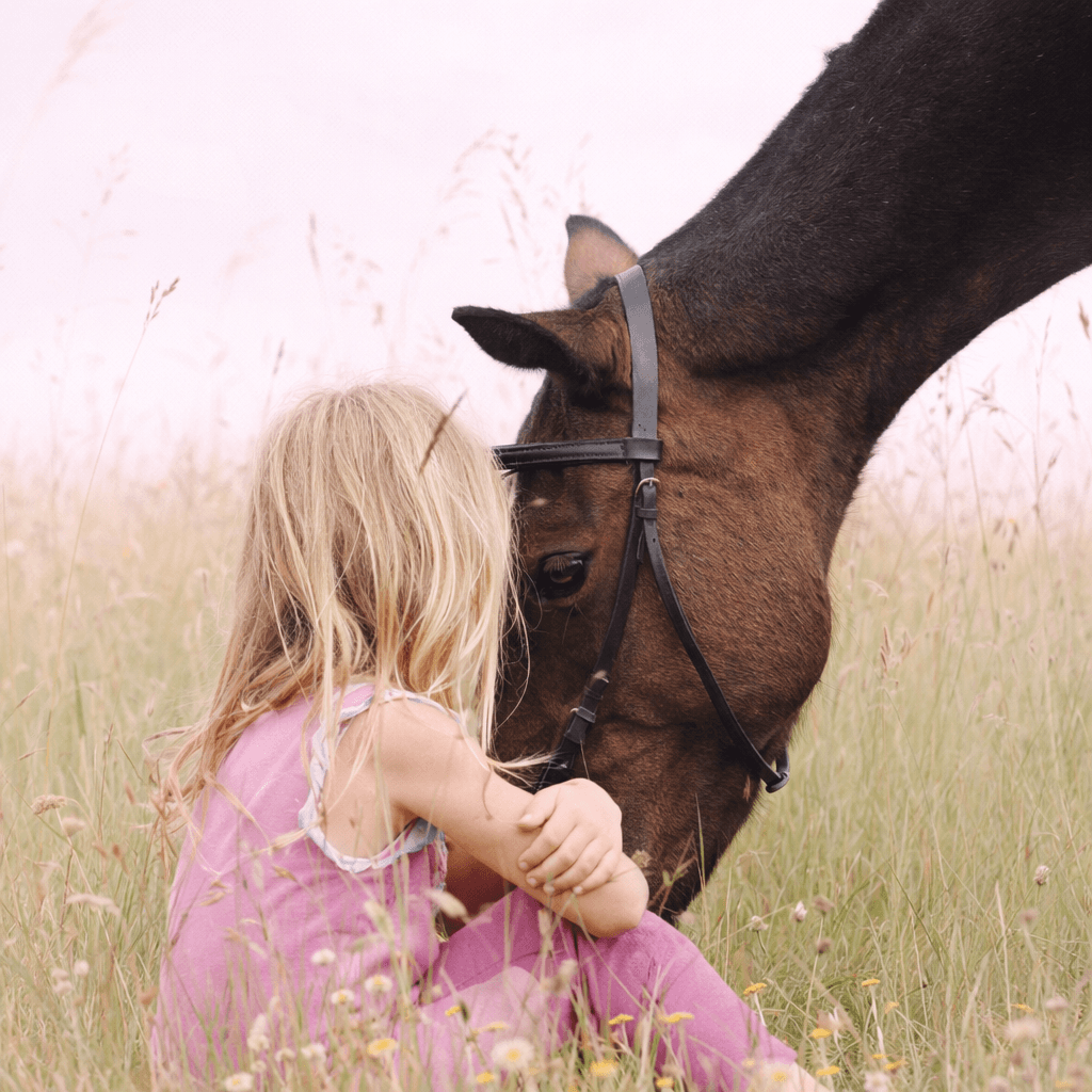 kid sitting beside brown horse during daytime