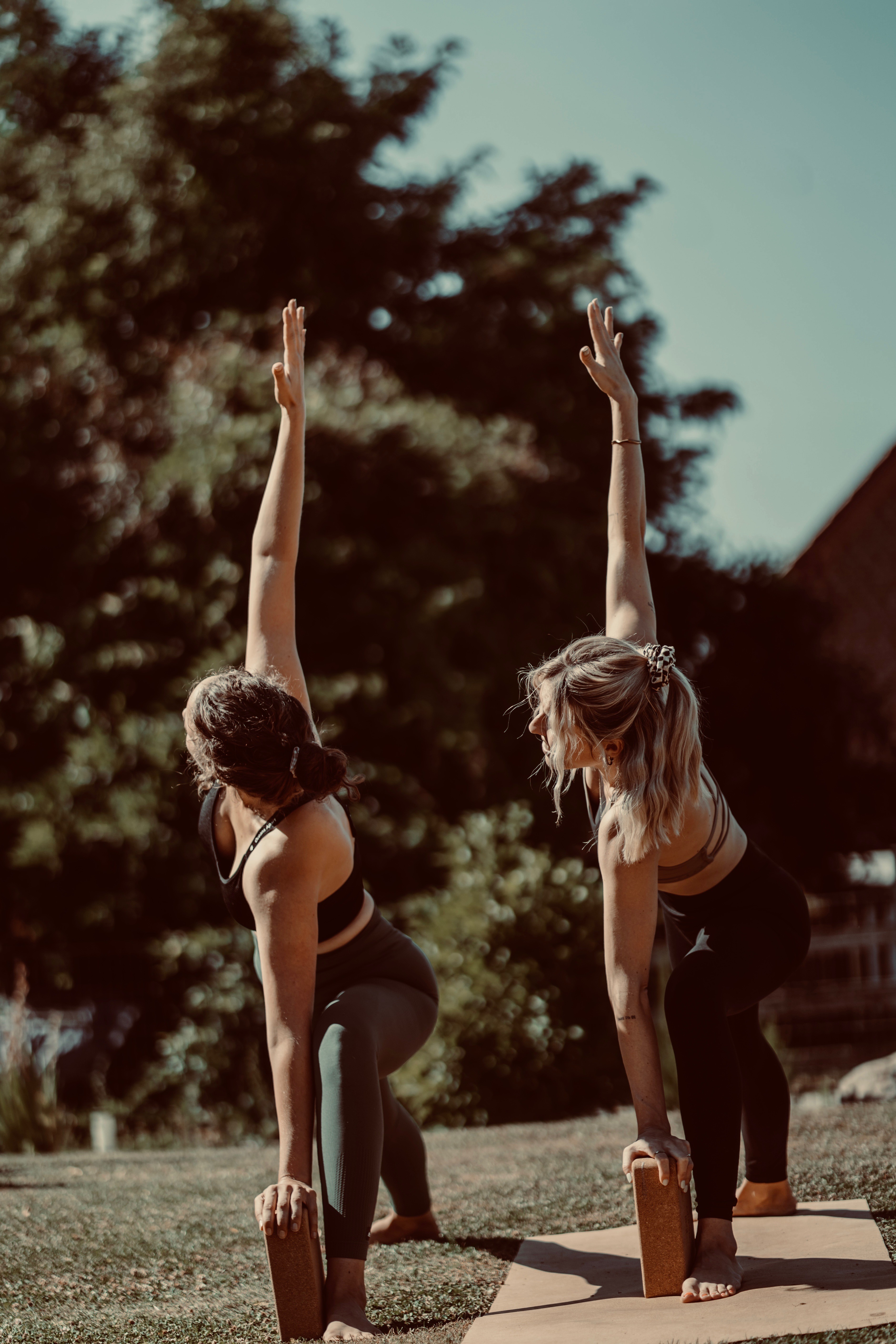 Stress & Nervous System Reset