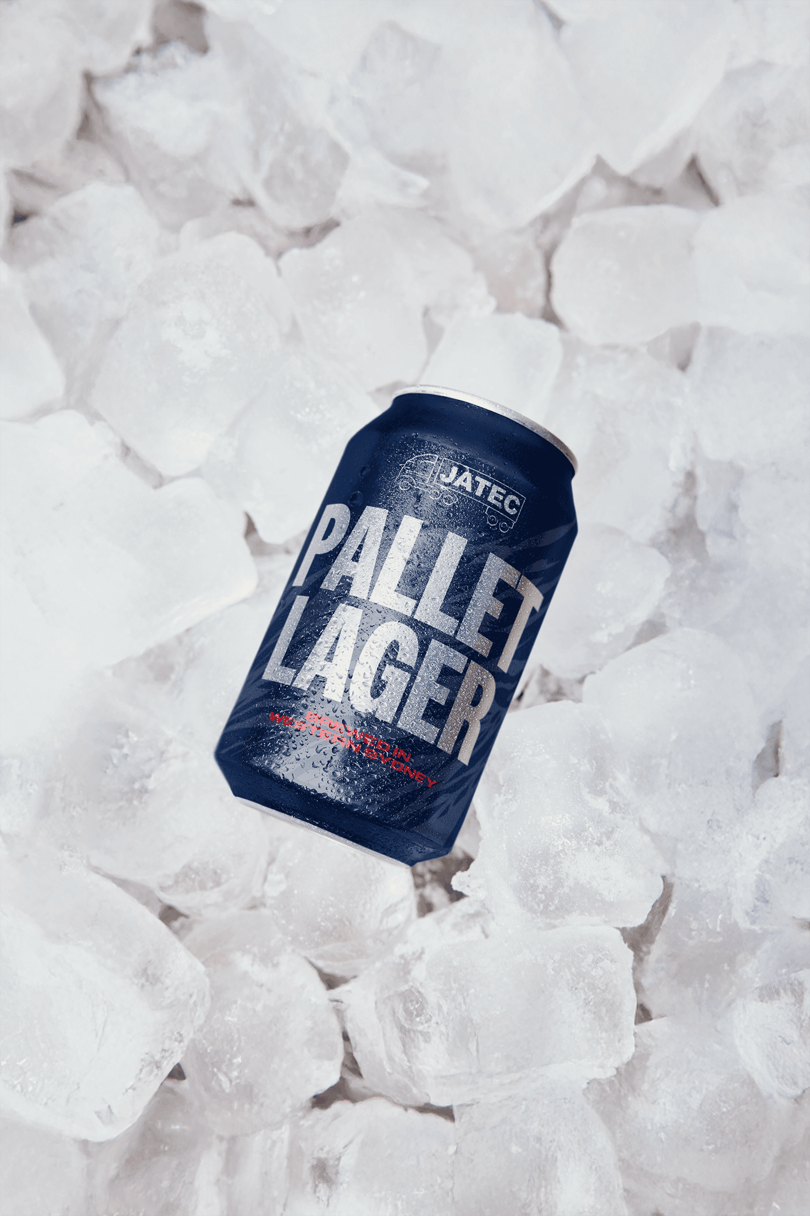 Project Gallery Image for 50% width of the screen #2