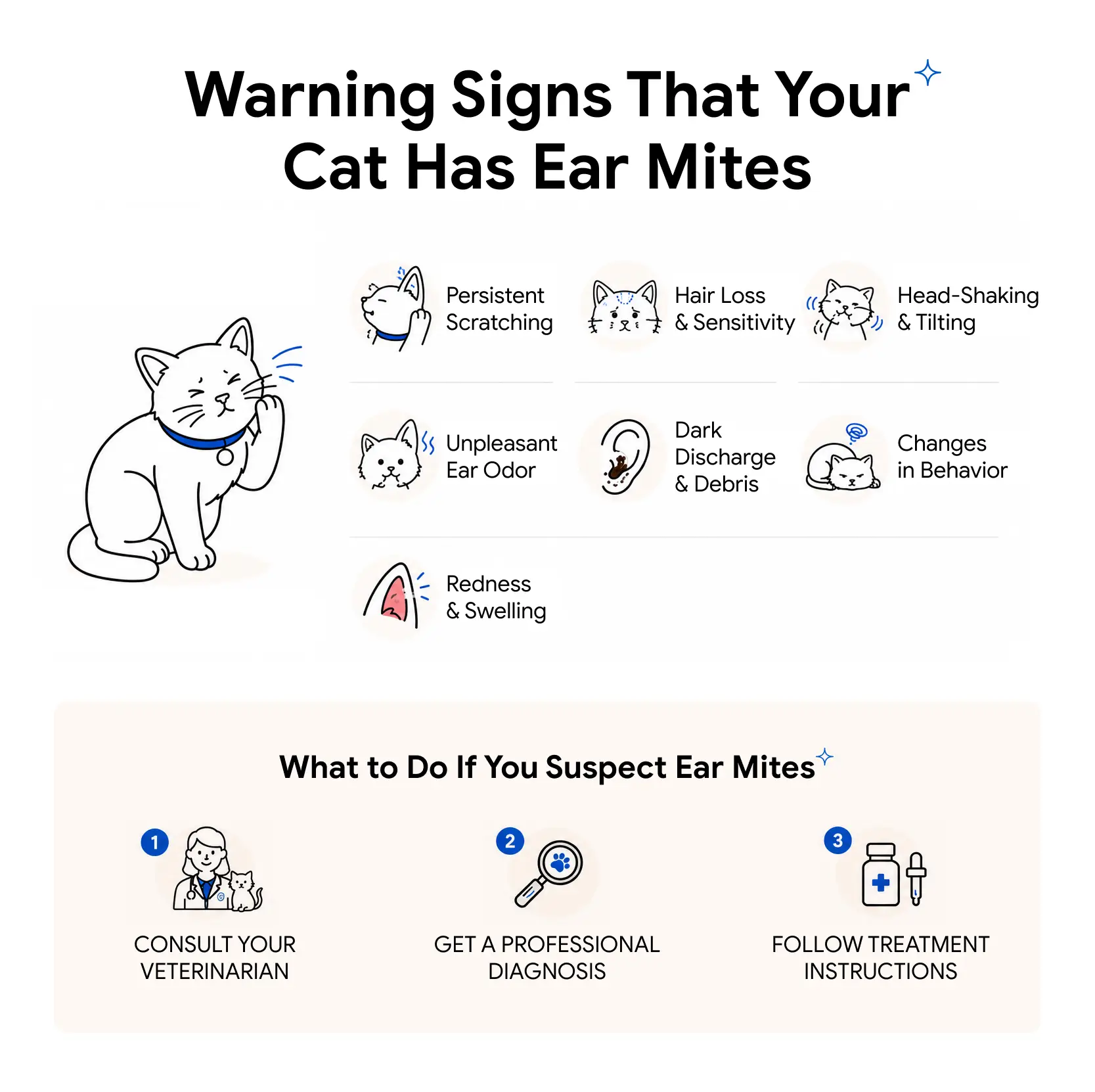 An infographic showing the signs of ear mites in cats and what you must do