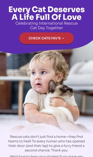Email celebrating International Rescue Cat Day, showing a baby hugging a cat.