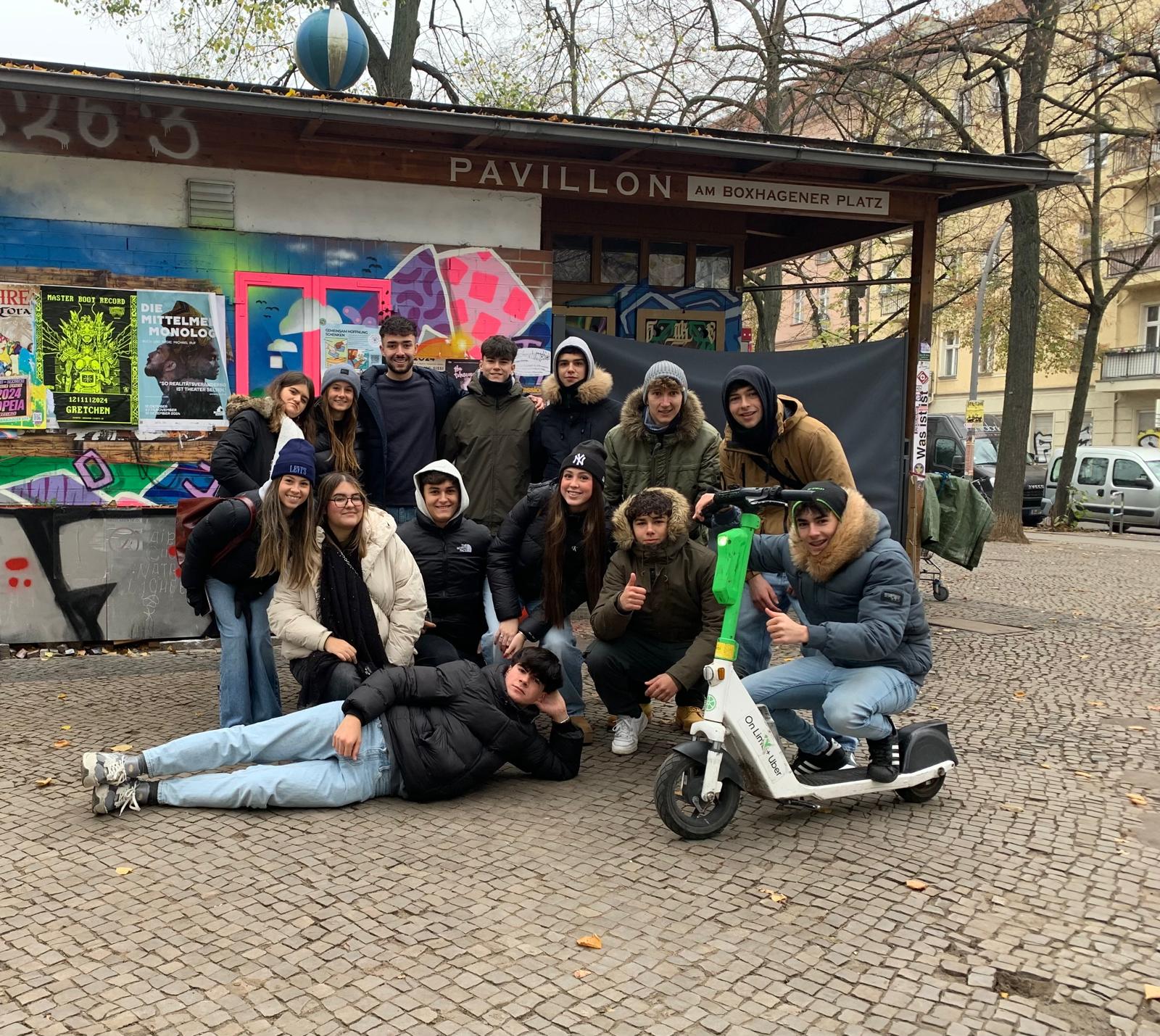 Close-up of lush, dark green leaves, some glossy and wet, against a muted background.