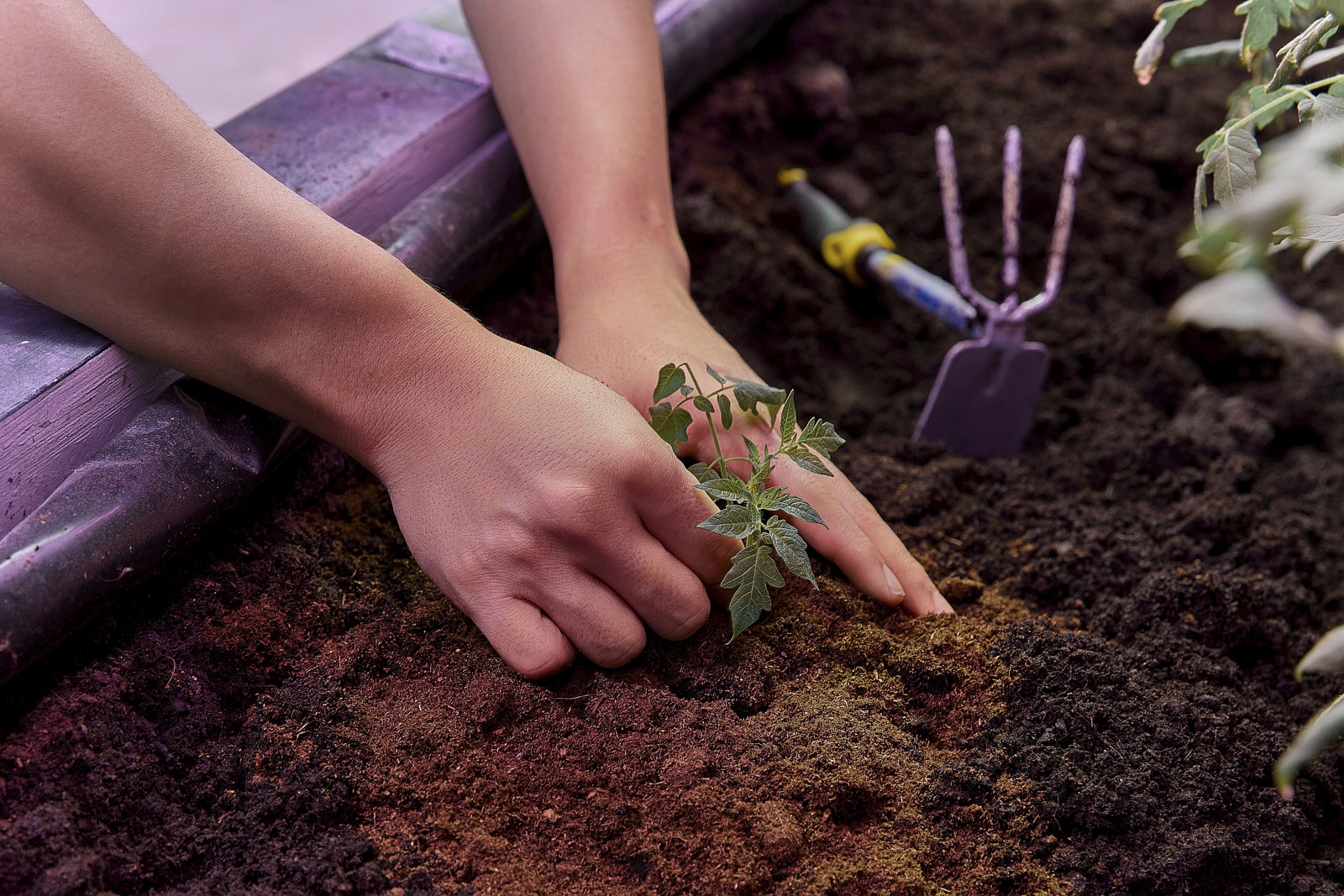 RIGGNGO Studio — commercial photography portfolio Singapore