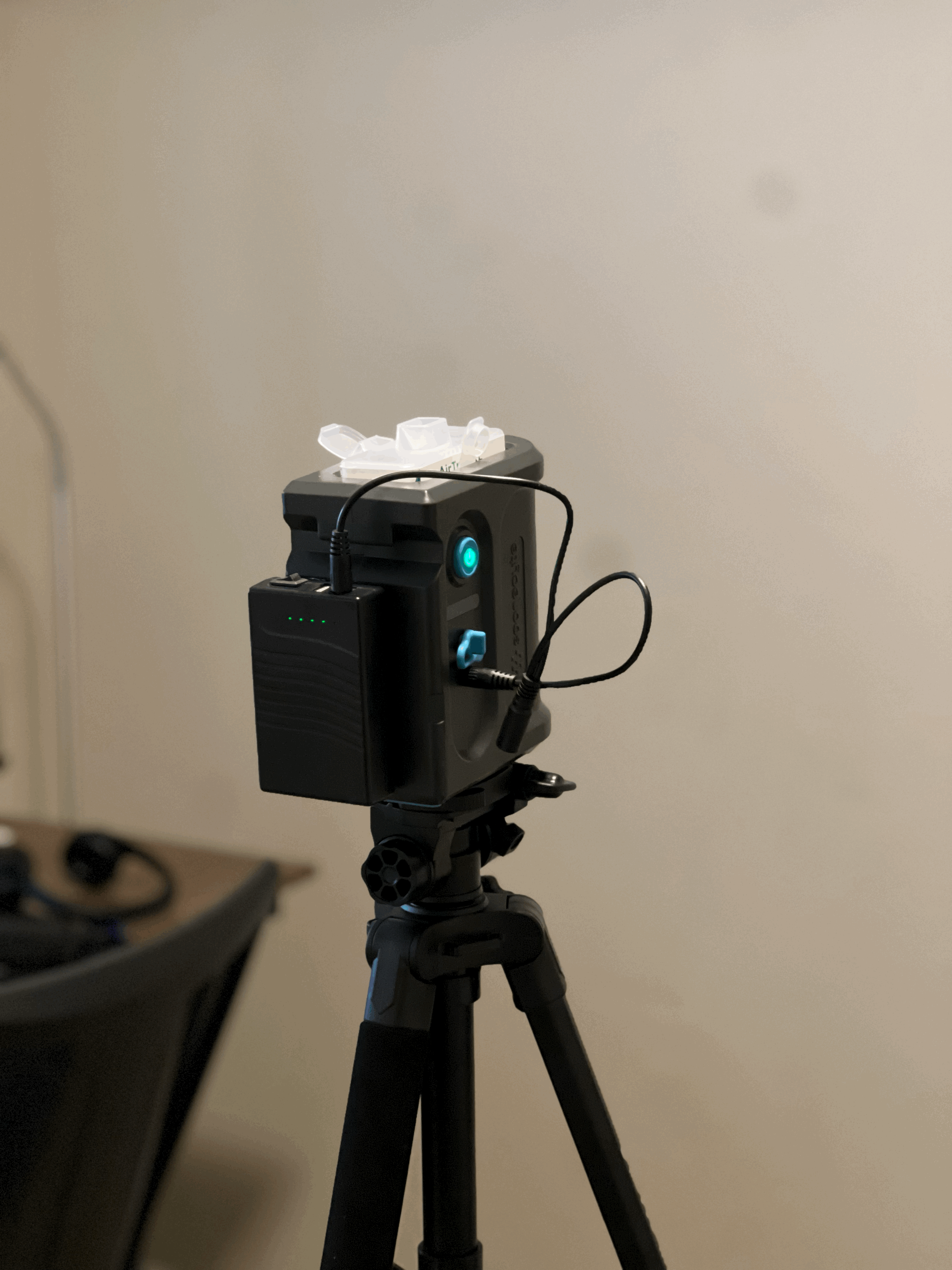 Homeowner reviewing mold report