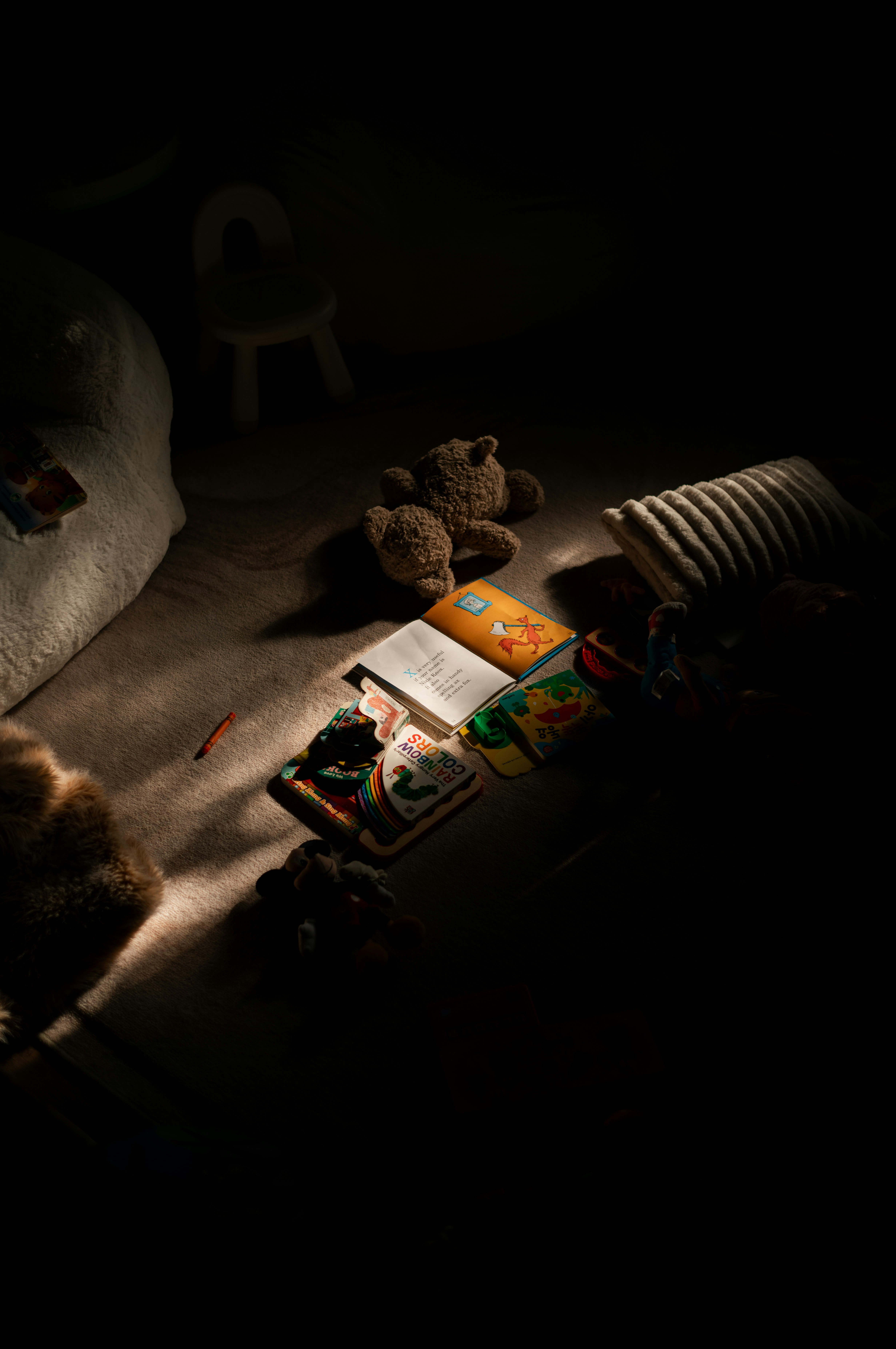 Books and teddy bears on floor in dim light.