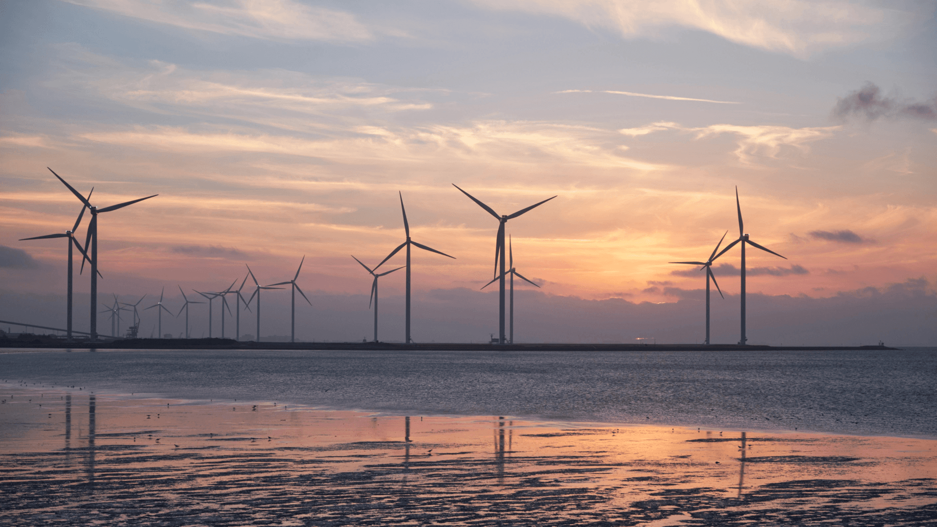 Offshore wind turbines, symbolising the scale and resilience of renewable energy infrastructure in harsh marine environments