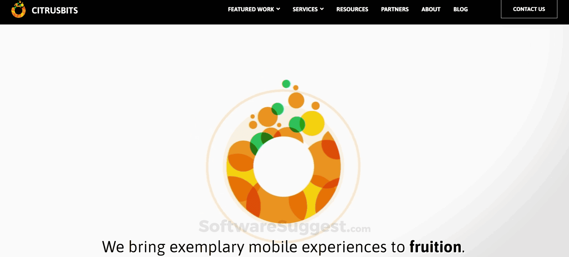 CitrusBits Screenshot