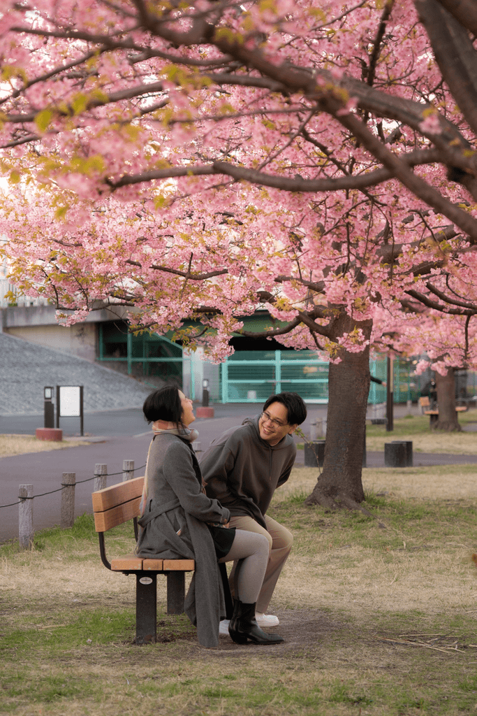 Couple laughing together on a park bench amongst sakura