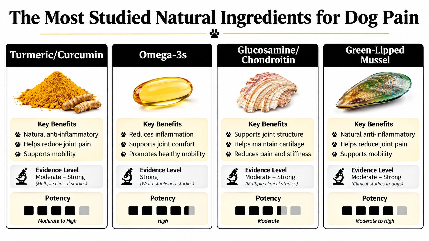 An infographic showing four common natural pain relievers for dogs: Turmeric, Omega-3s, Glucosamine/Chondroitin, and Green-Lipped Mussel.