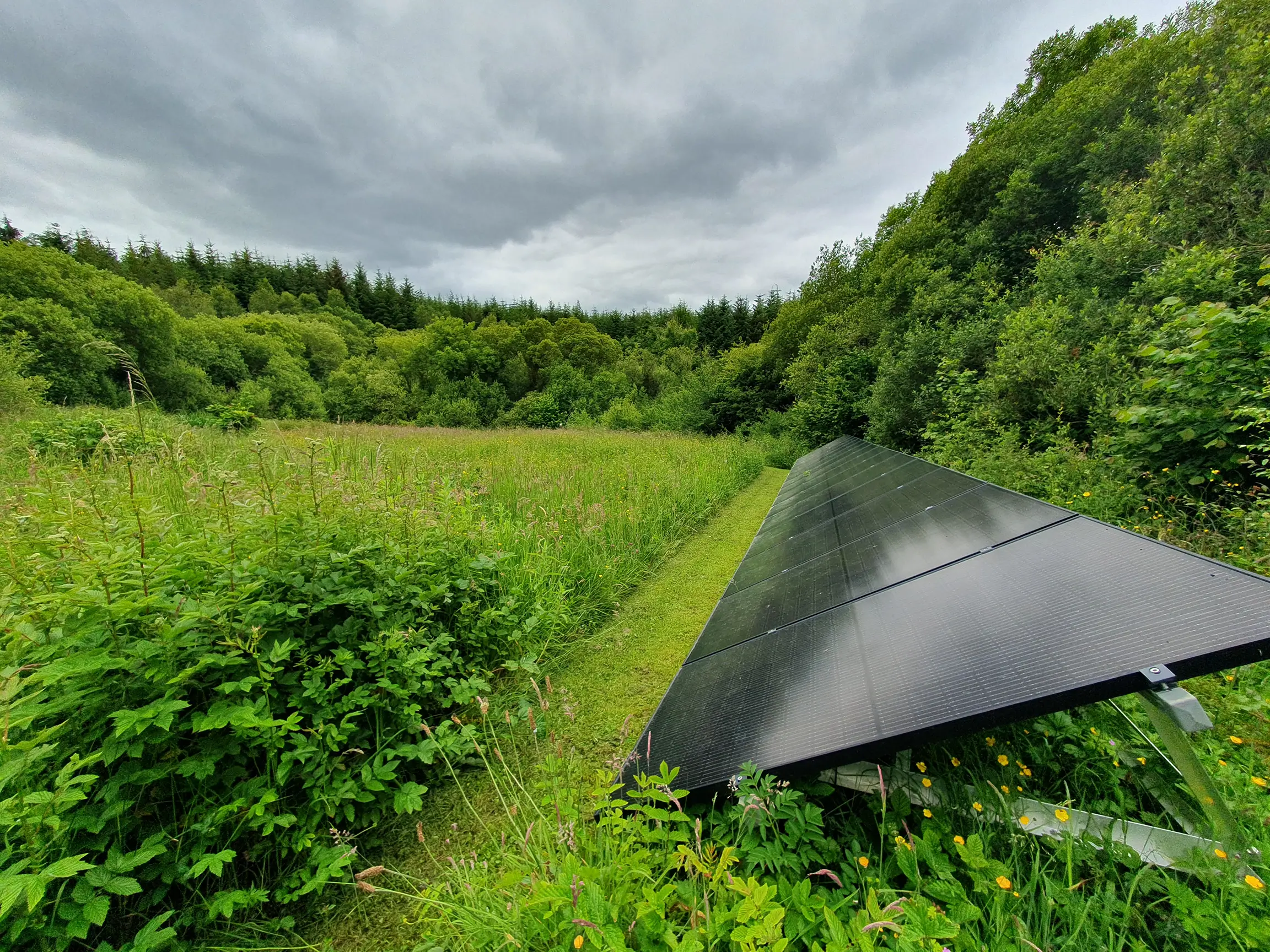 A lush green field under a cloudy sky, with part of a tent visible in the foreground.