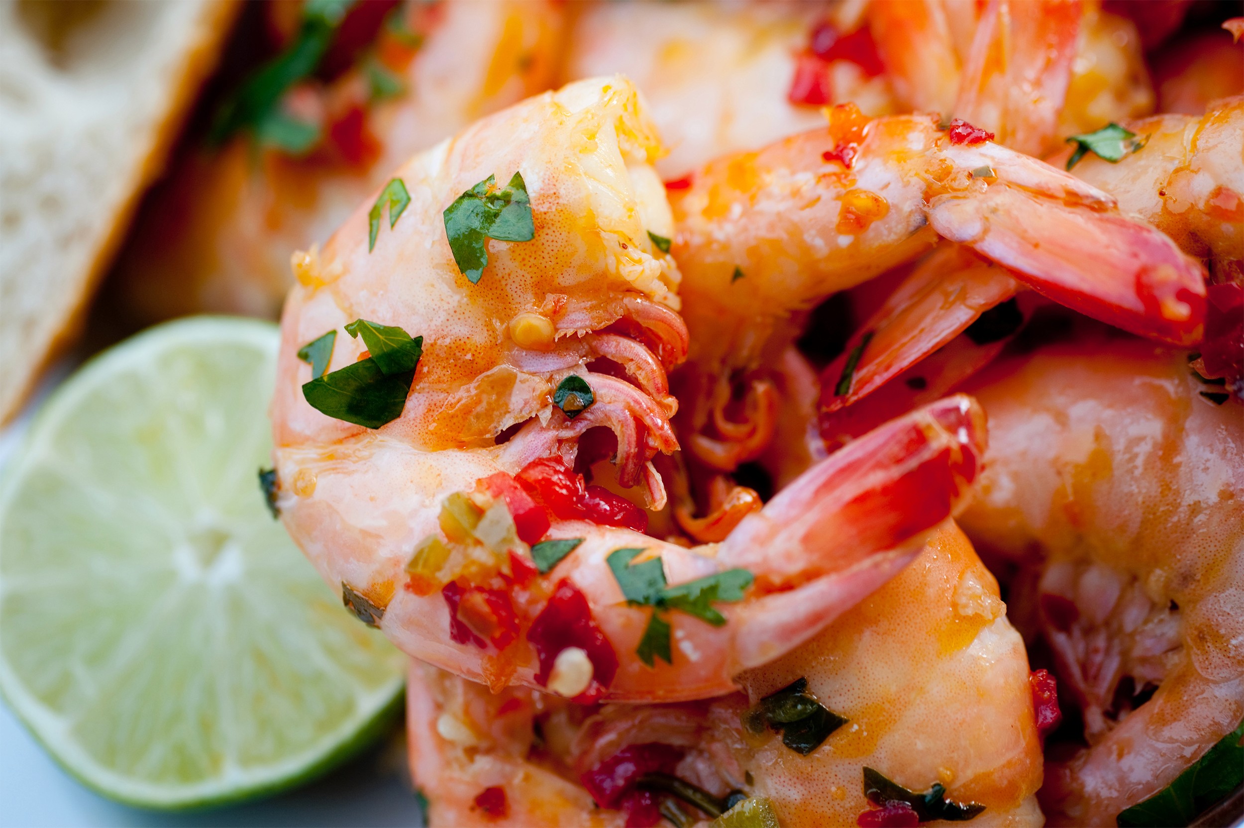  A close-up of Yucatan Shrimp