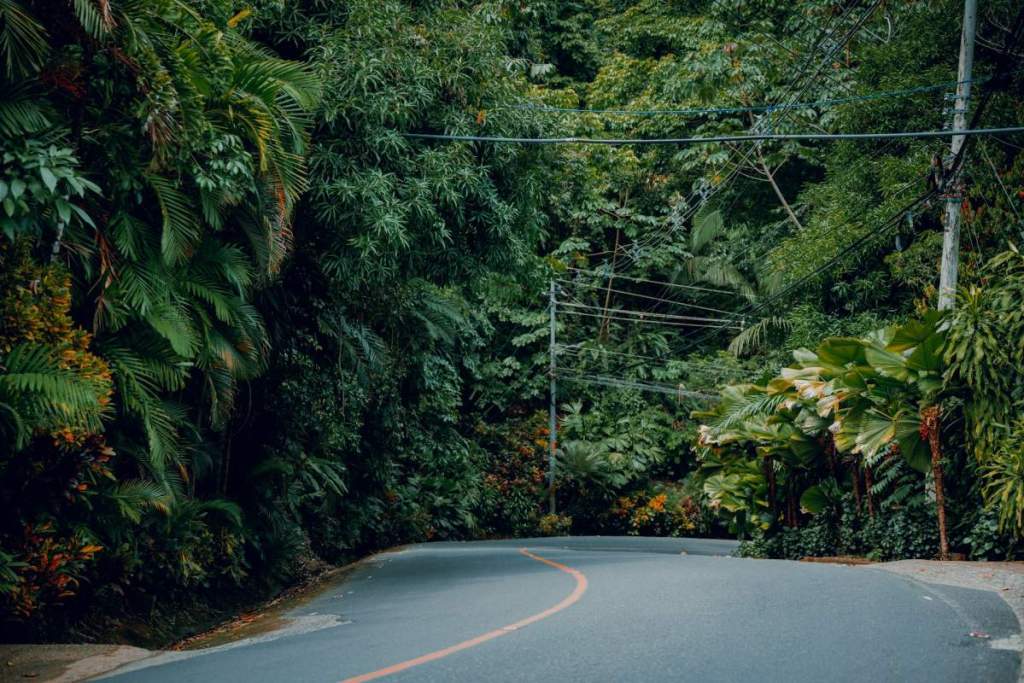 road in costa rica