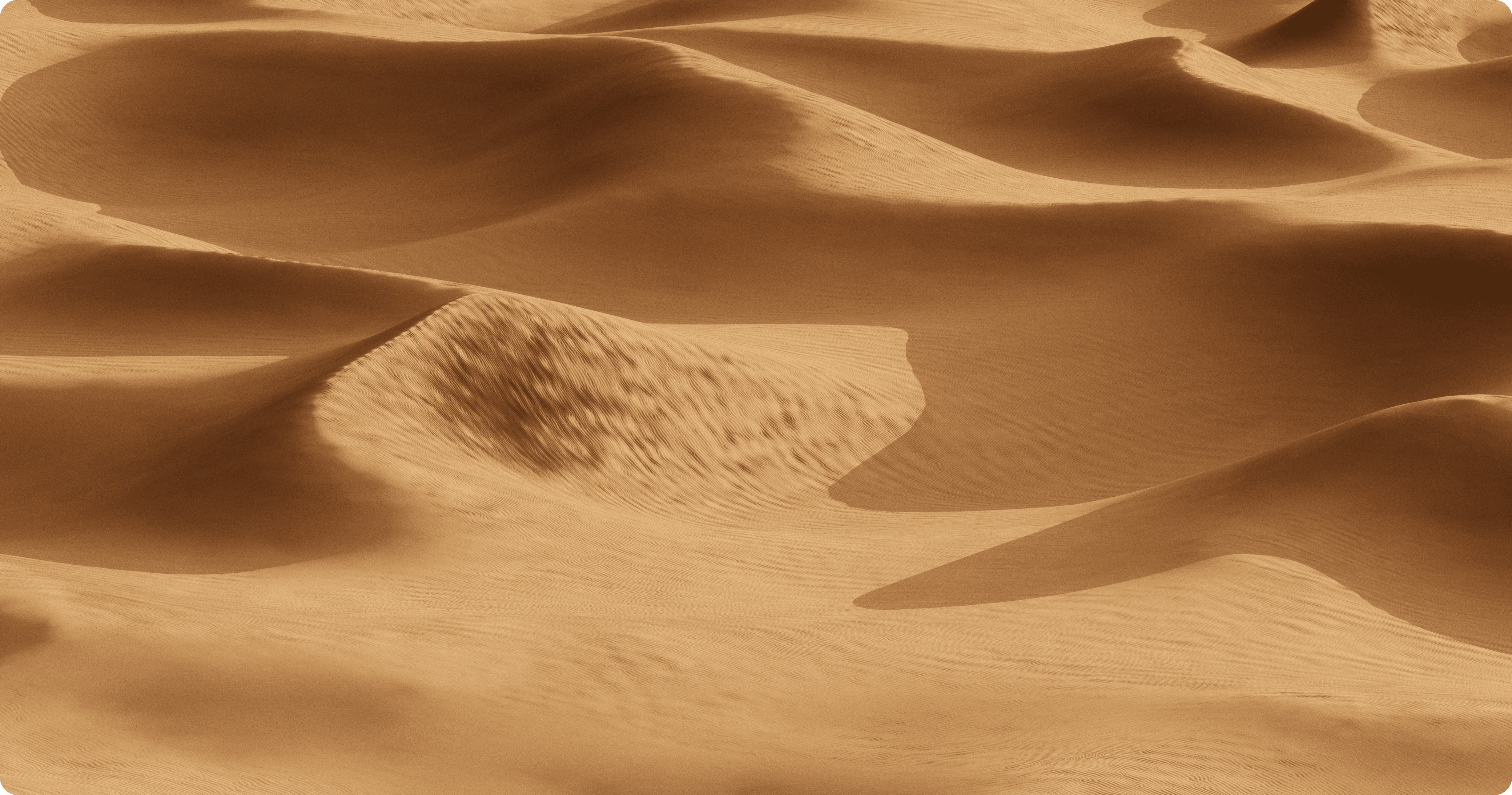 Wavy sand dunes in a vast desert