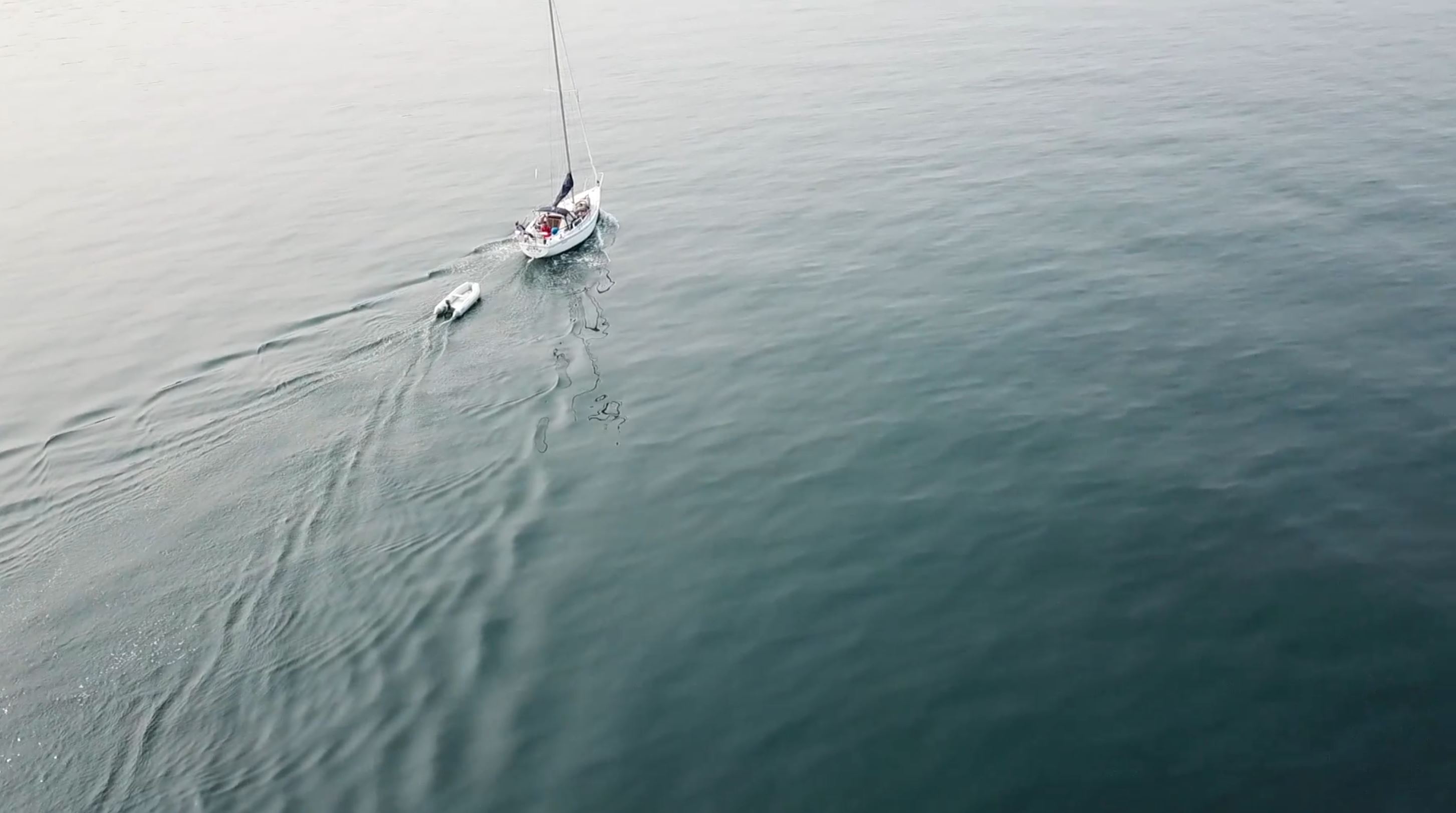 Four diverse professionals collaboratively working on a laptop, with one person pointing at the screen while others observe.