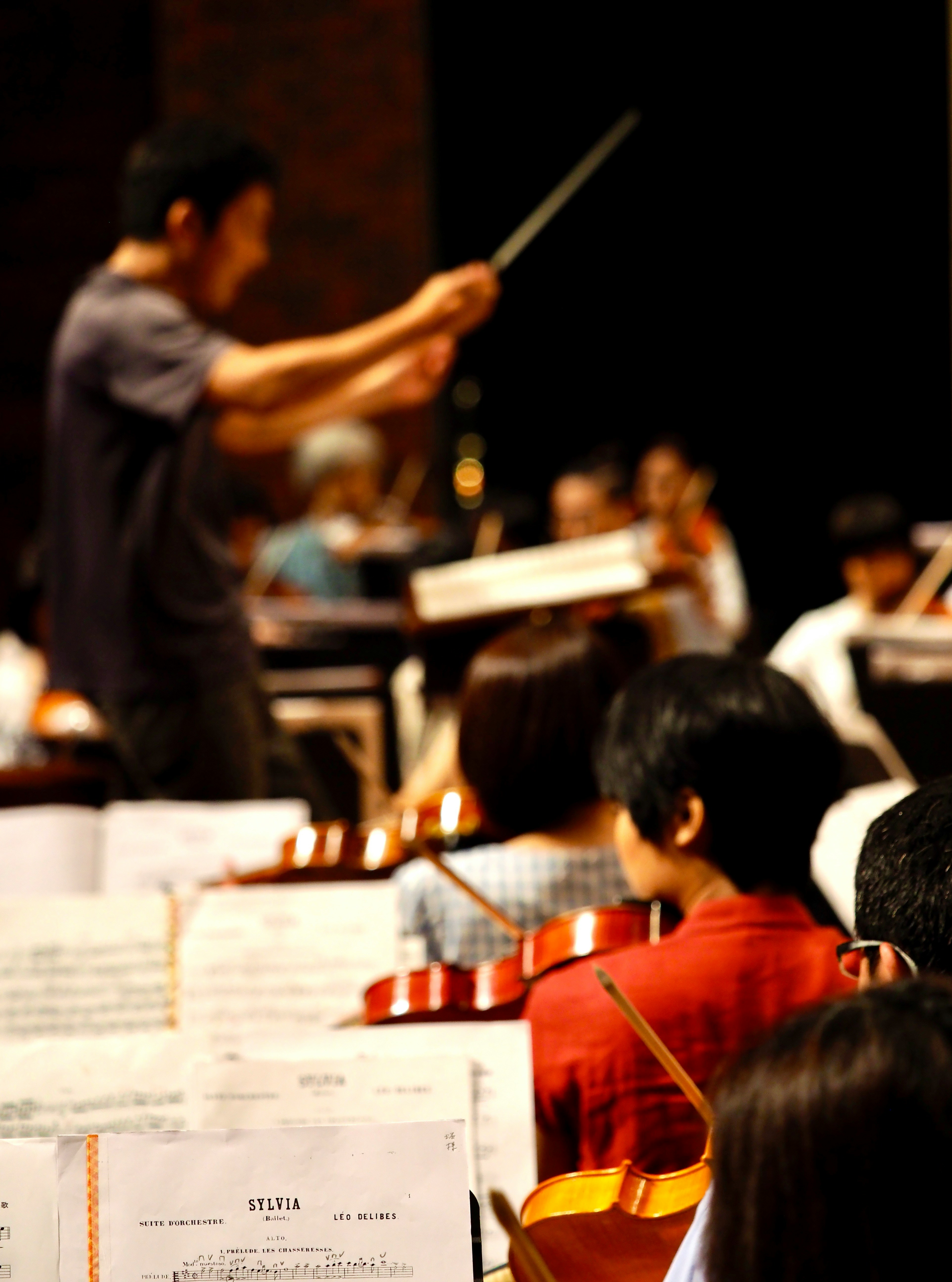A conductor and orchestra performing in a concert