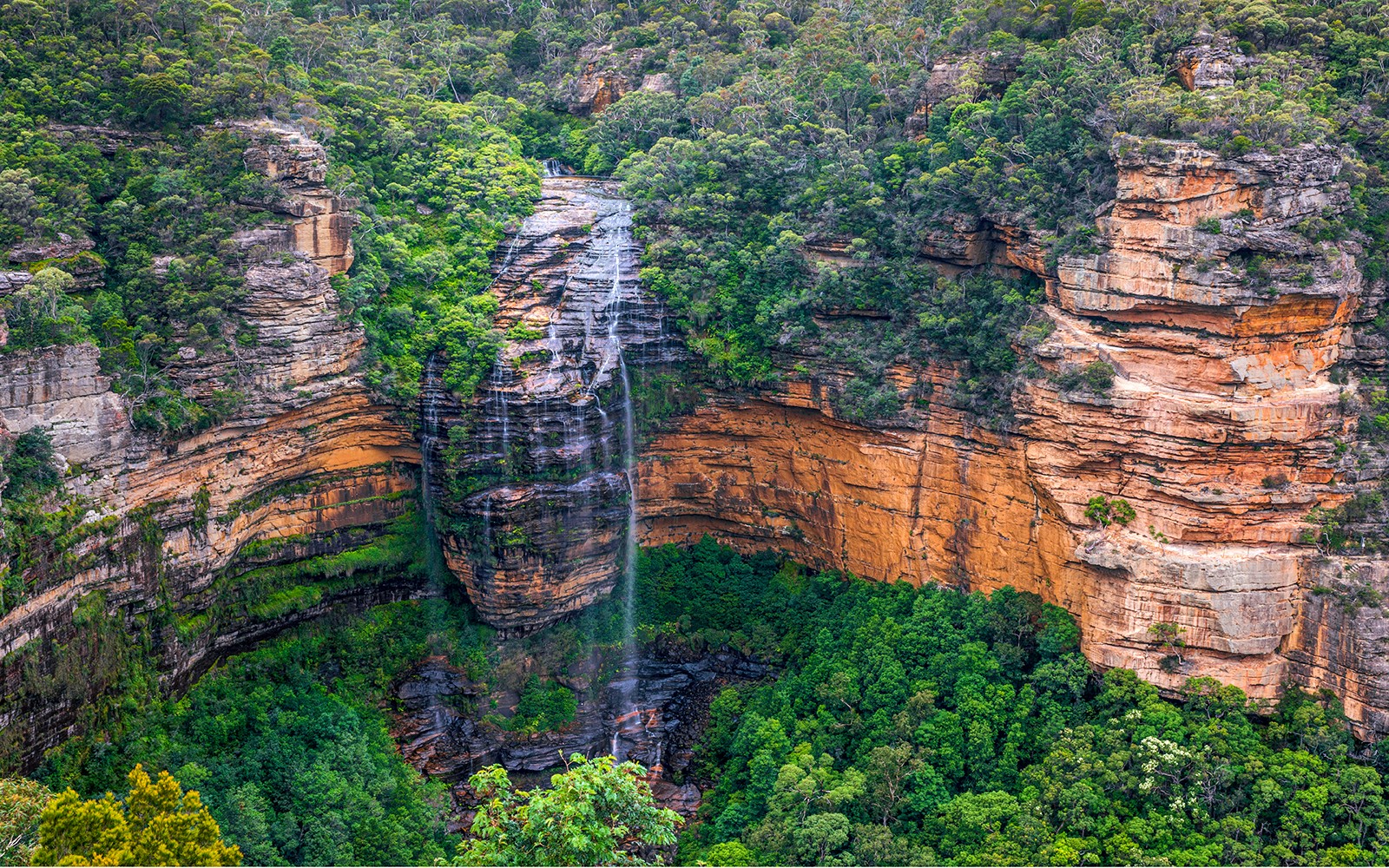 Wentworth Falls cascading in Blue Mountains, Australia, surrounded by lush greenery.