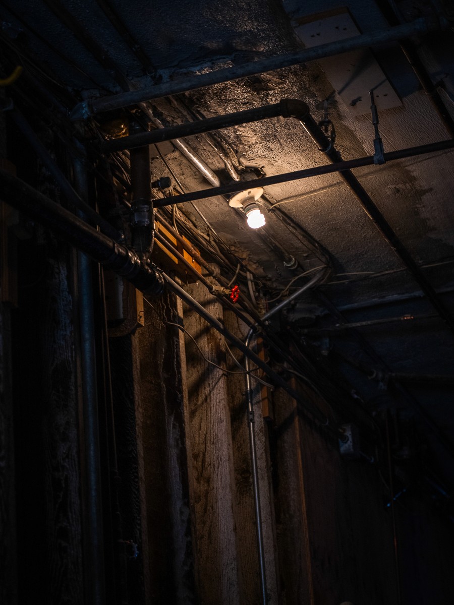 20240922-20240922-DSC06464