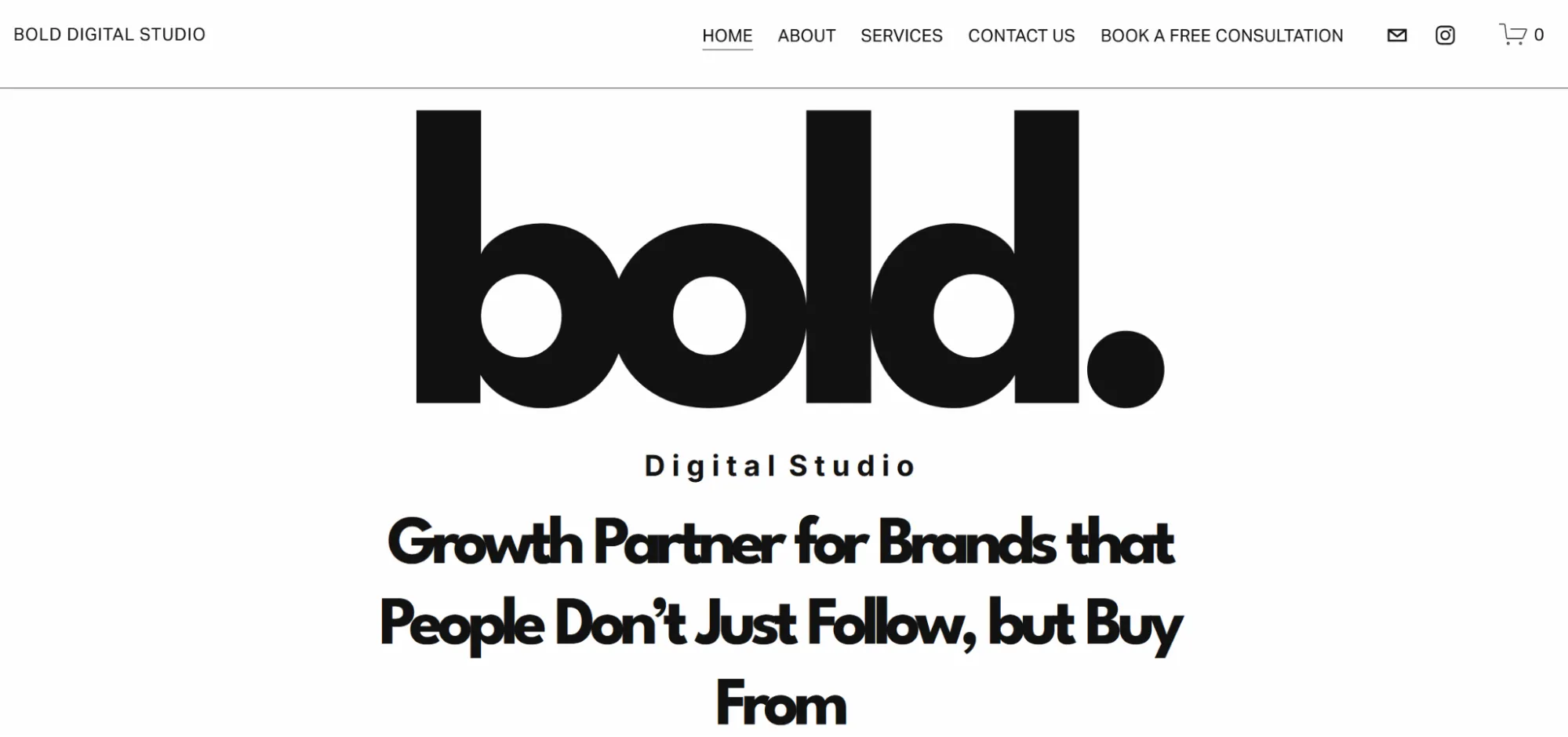 Top Health and Wellness Marketing Agency in the United States - Bold Digital Studio
