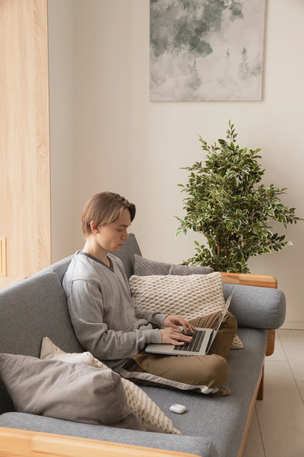 Person sitting comfortably on a sofa with a laptop in a calm, sunlit living room.