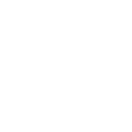 dribbble icon