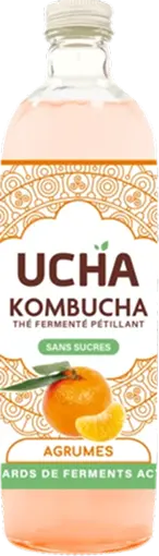 UCHA Citrus Kombucha