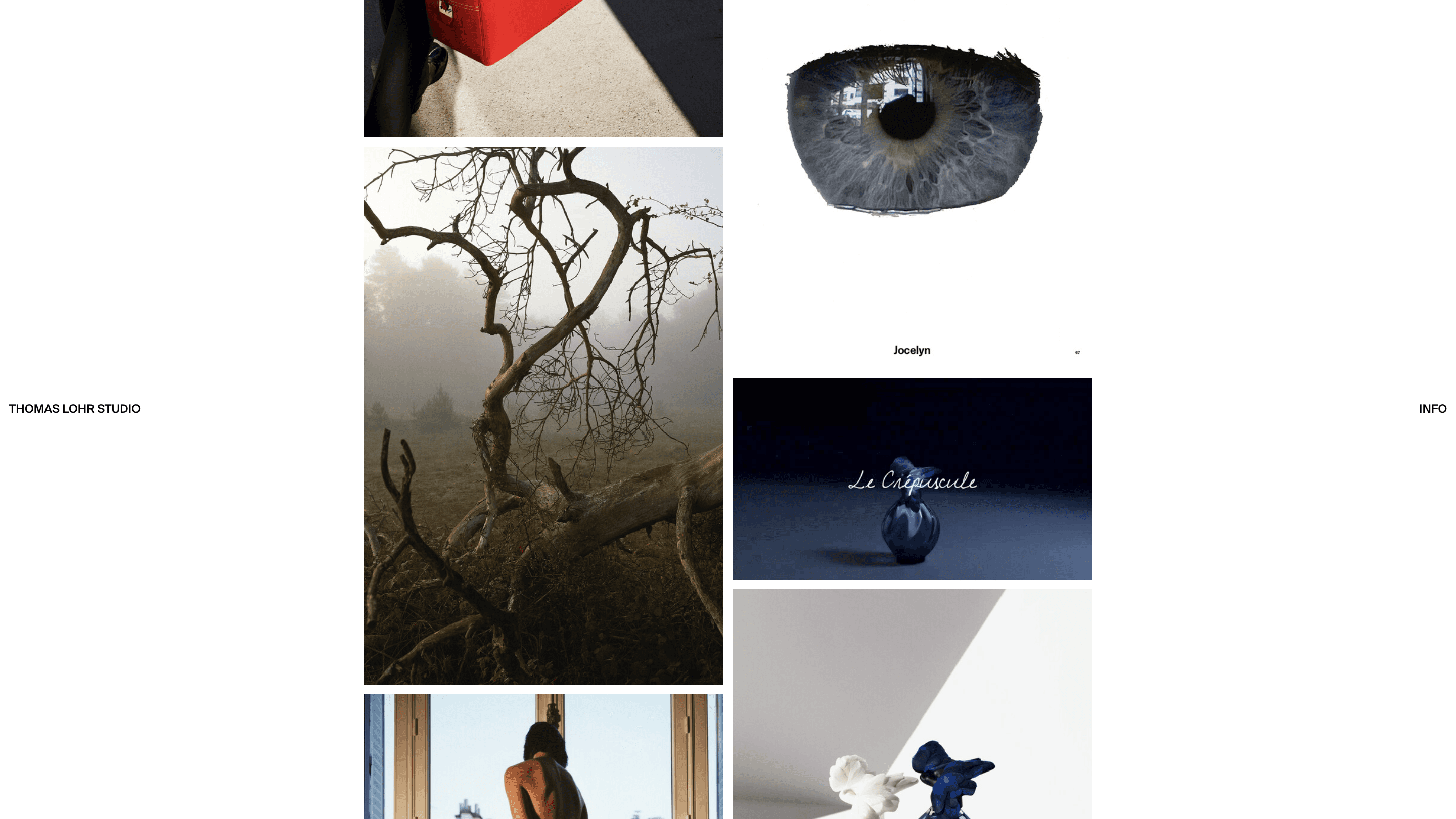 Curated website showcase highlighting contemporary visual direction.