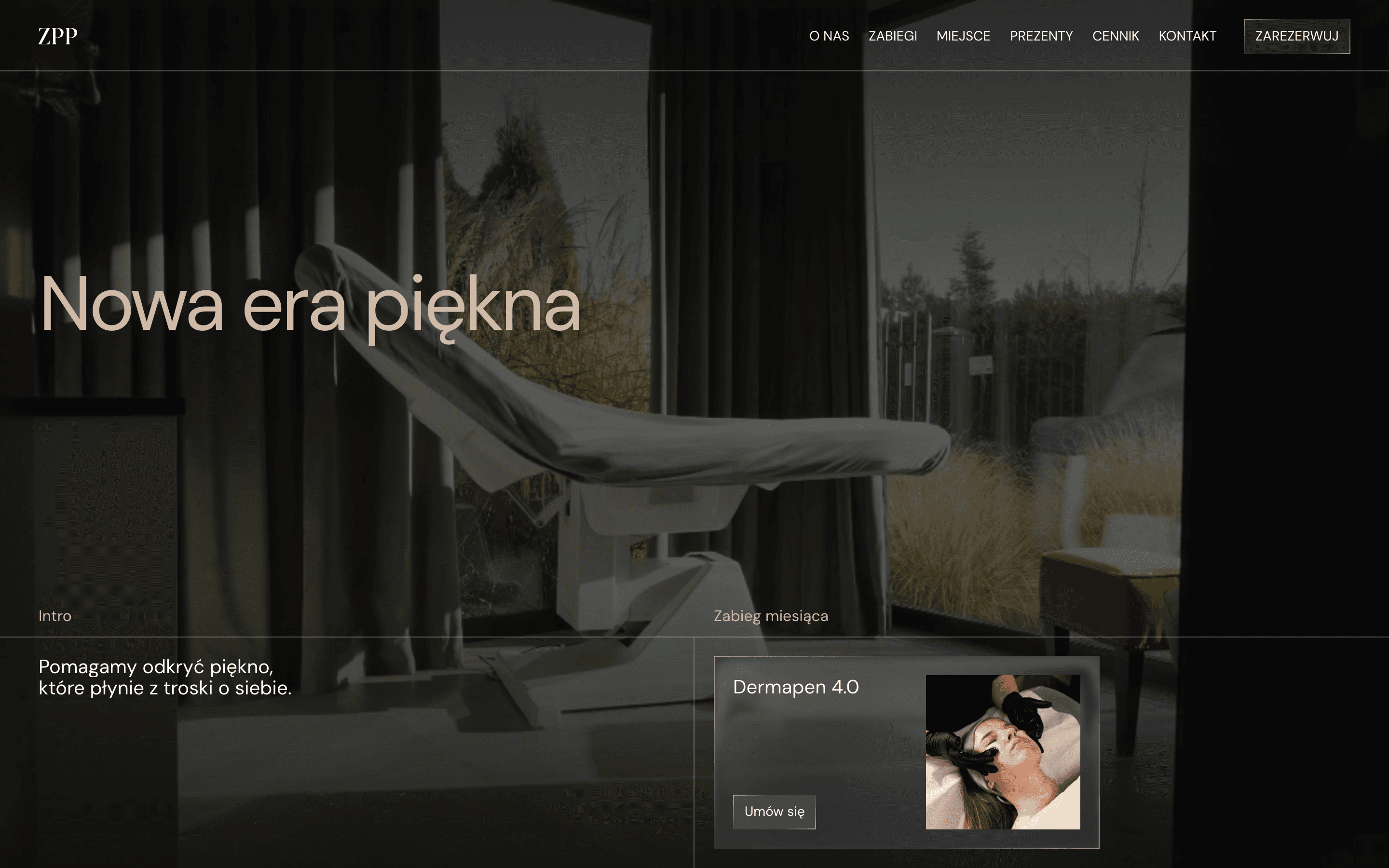 ZPP live website screenshot