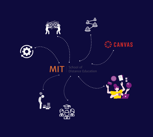 Challenges of MIT SDE