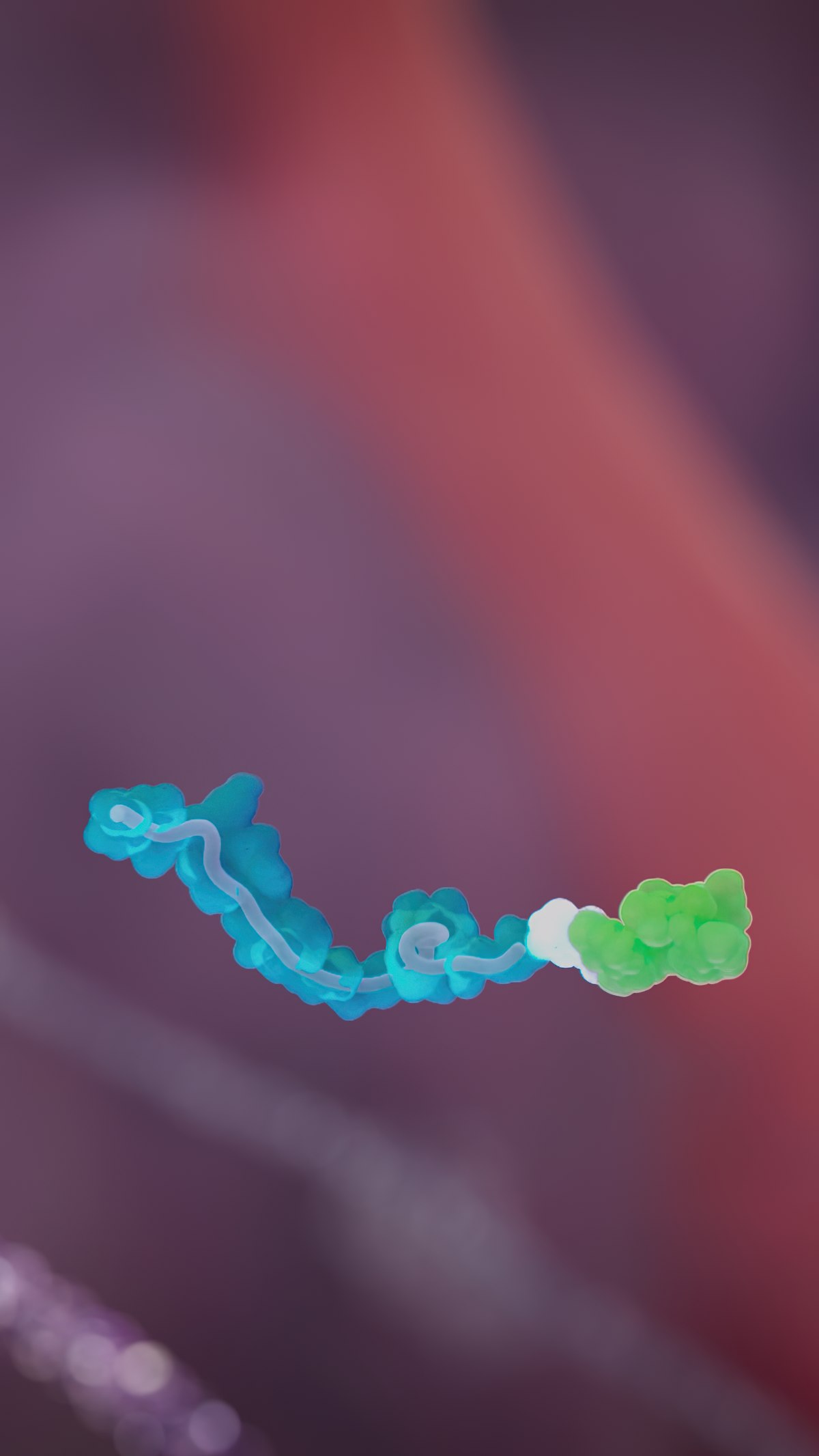 Peptide-drug conjugate in disordered conformation