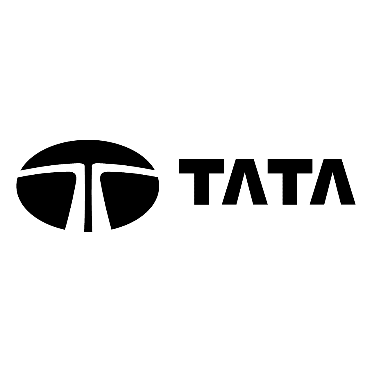 Tata Logo