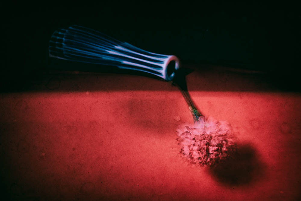 A wilted red carnation lies beside a tipped-over vase, lit dramatically on a deep red background. The image holds sorrow and reflection.