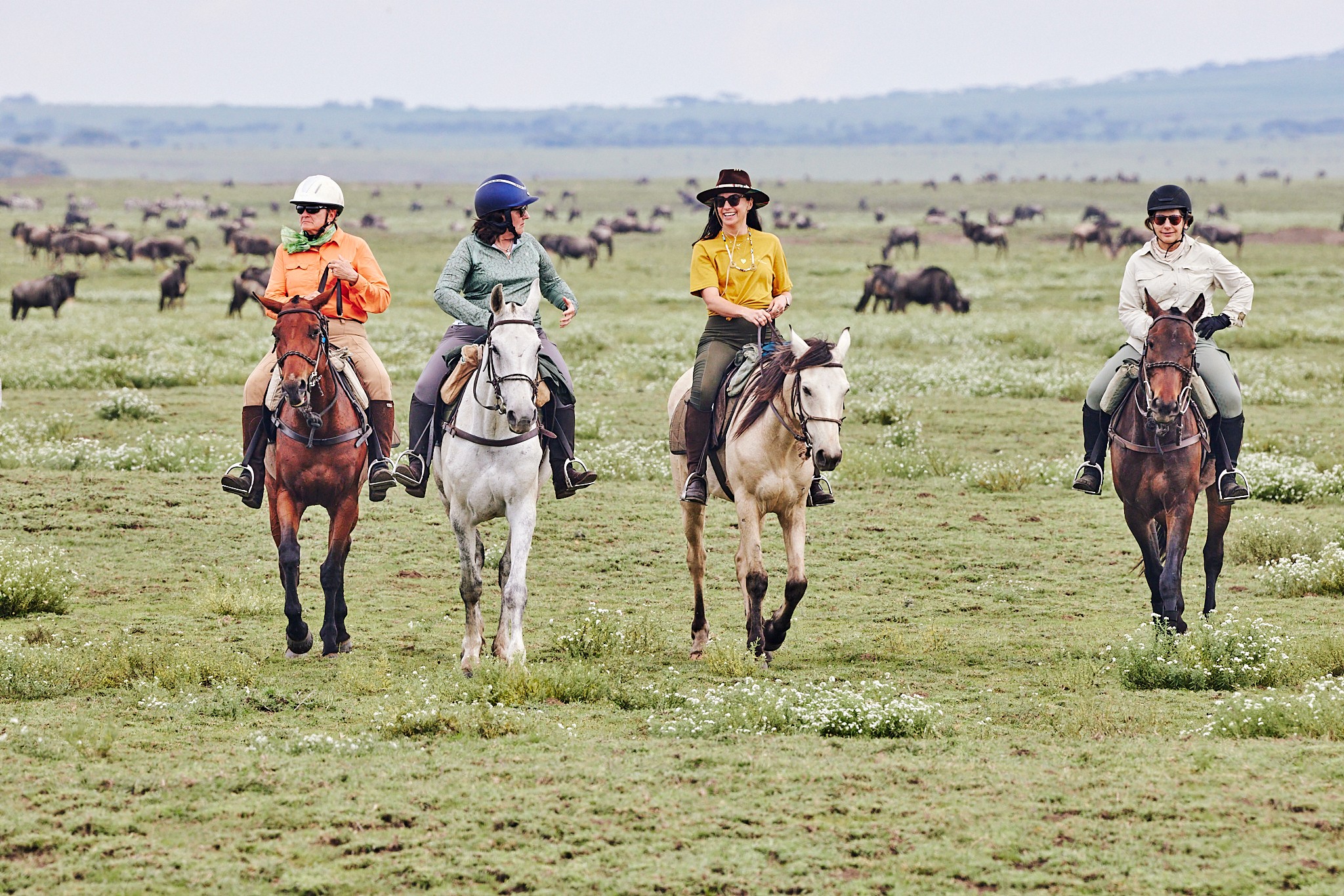 Fyra ryttare på safarihästar rider i lugnt tempo över de gröna slätterna i södra Serengeti, omgivna av gnuhjordar under the great migration.