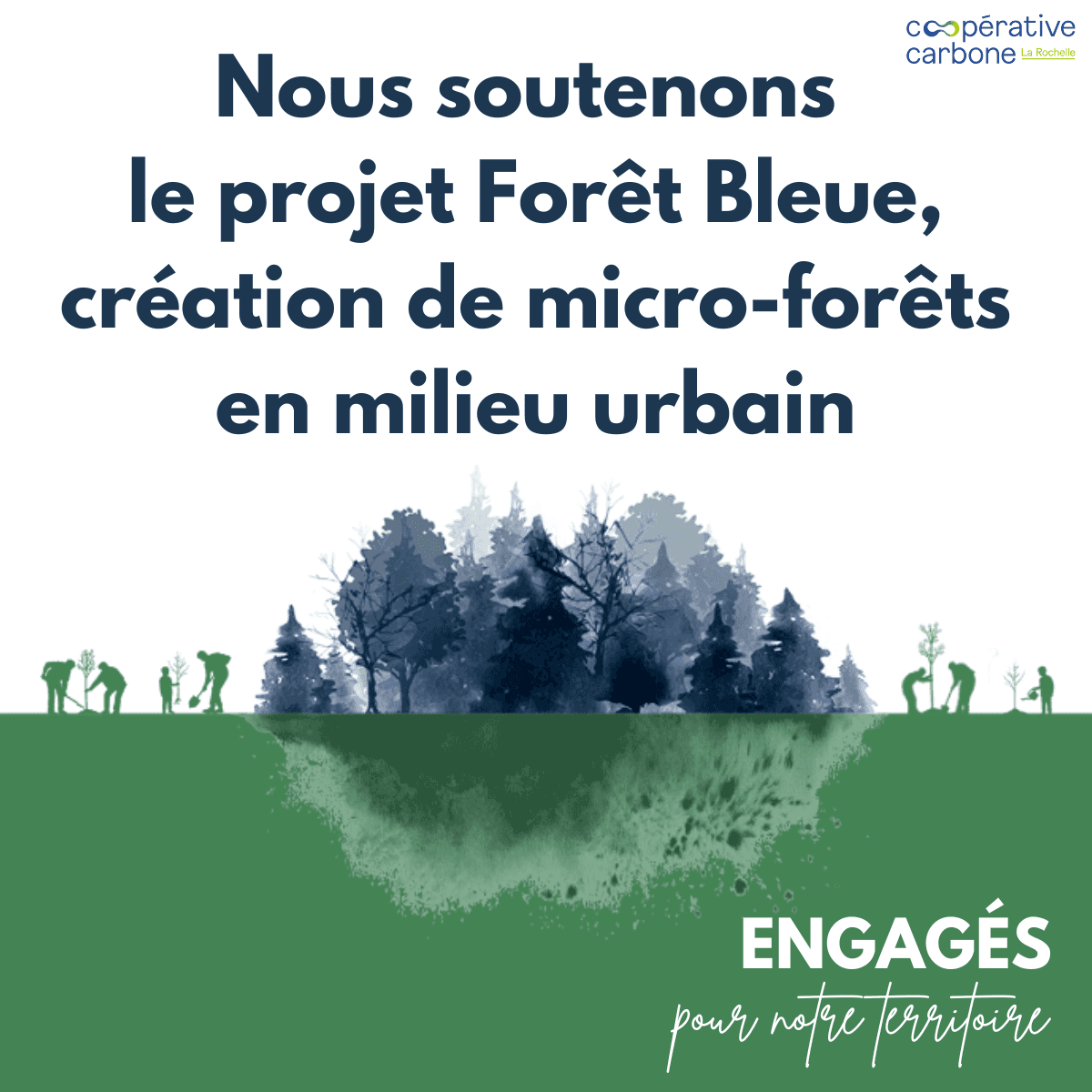 Image foret bleu un projet RSE