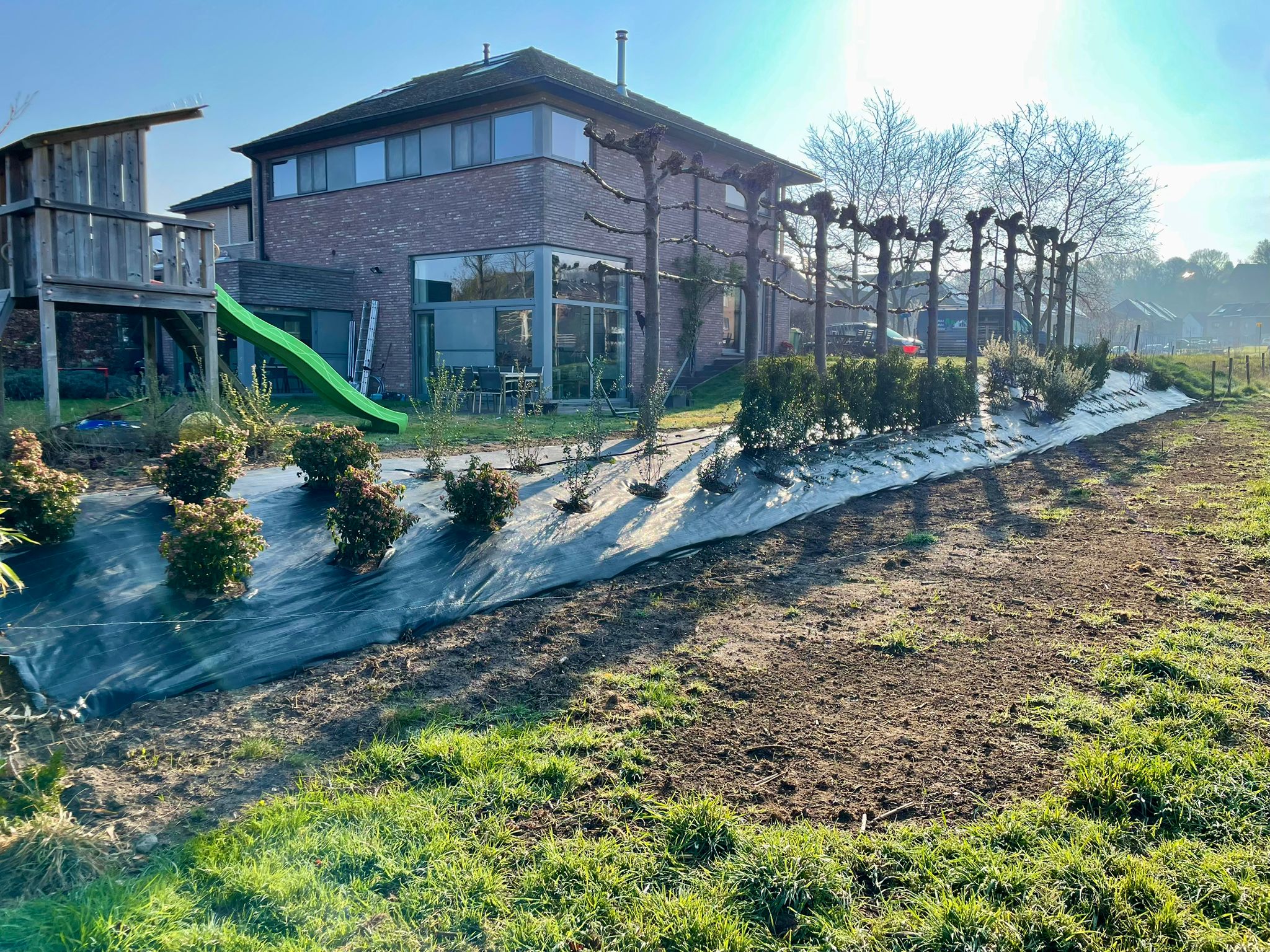 Nieuwe talud met beplanting — Tuinaanleg in Kessel-Lo, gerealiseerd door Wilmaerts Tuinaanleg