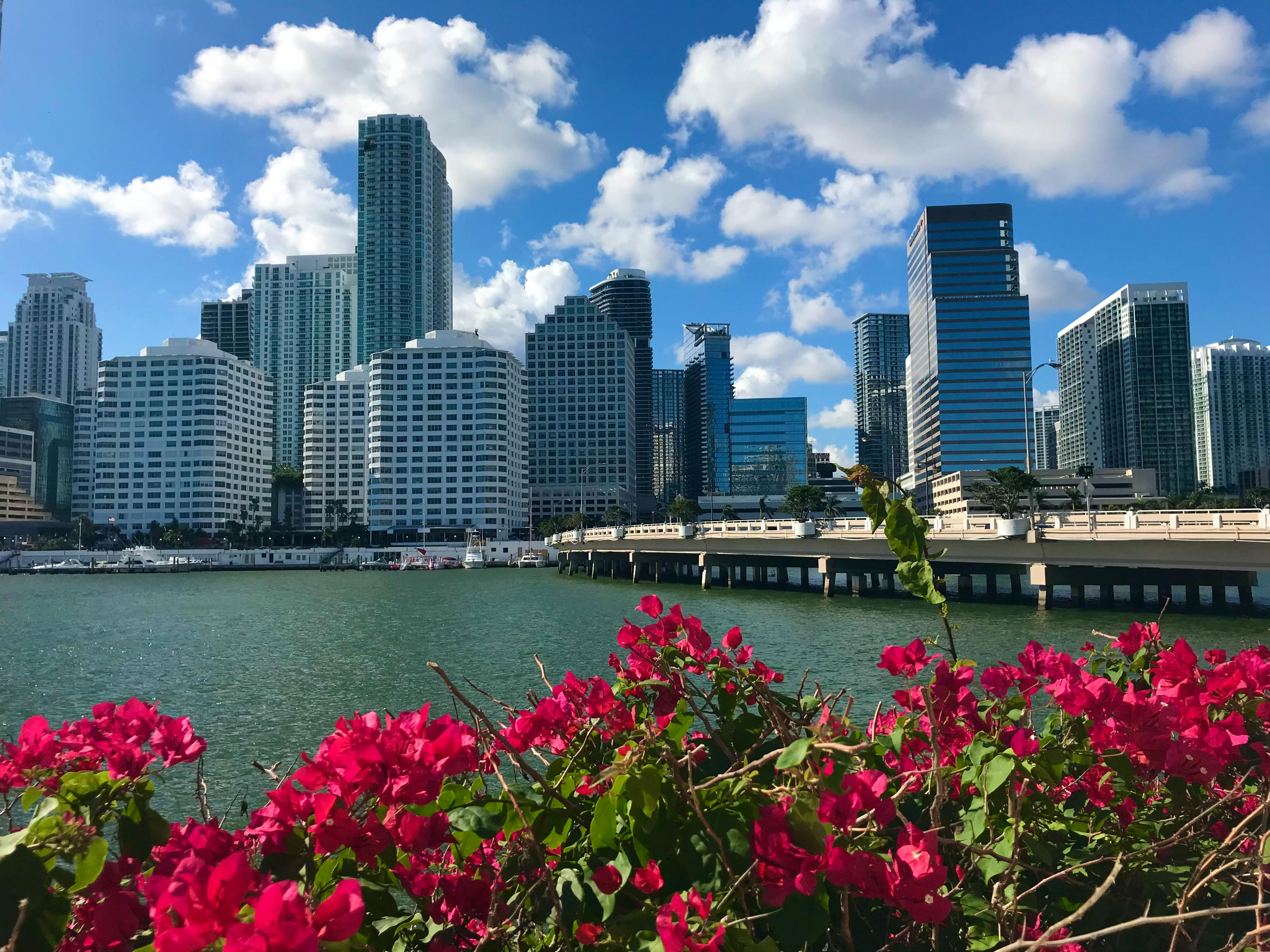 brickell miami real estate